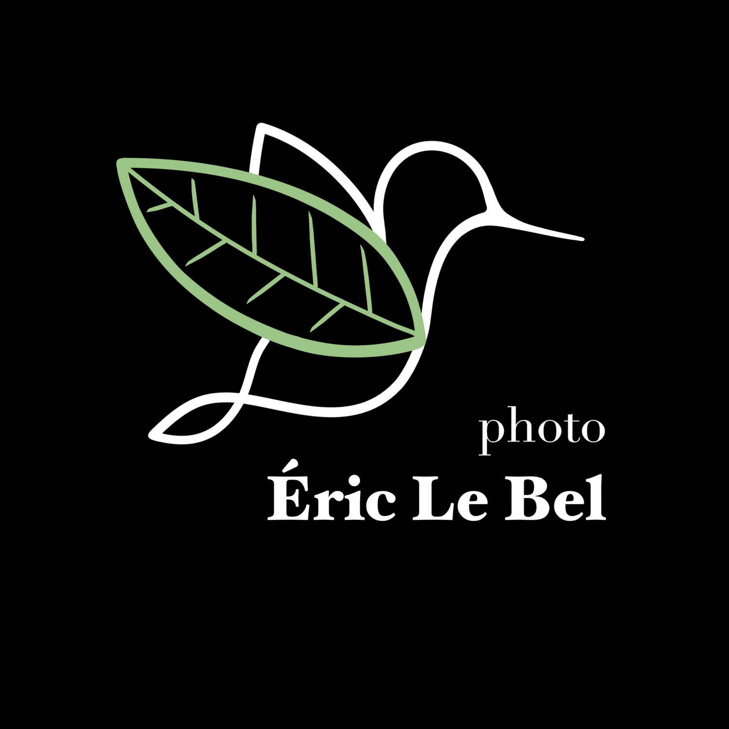 Eric Le Bel