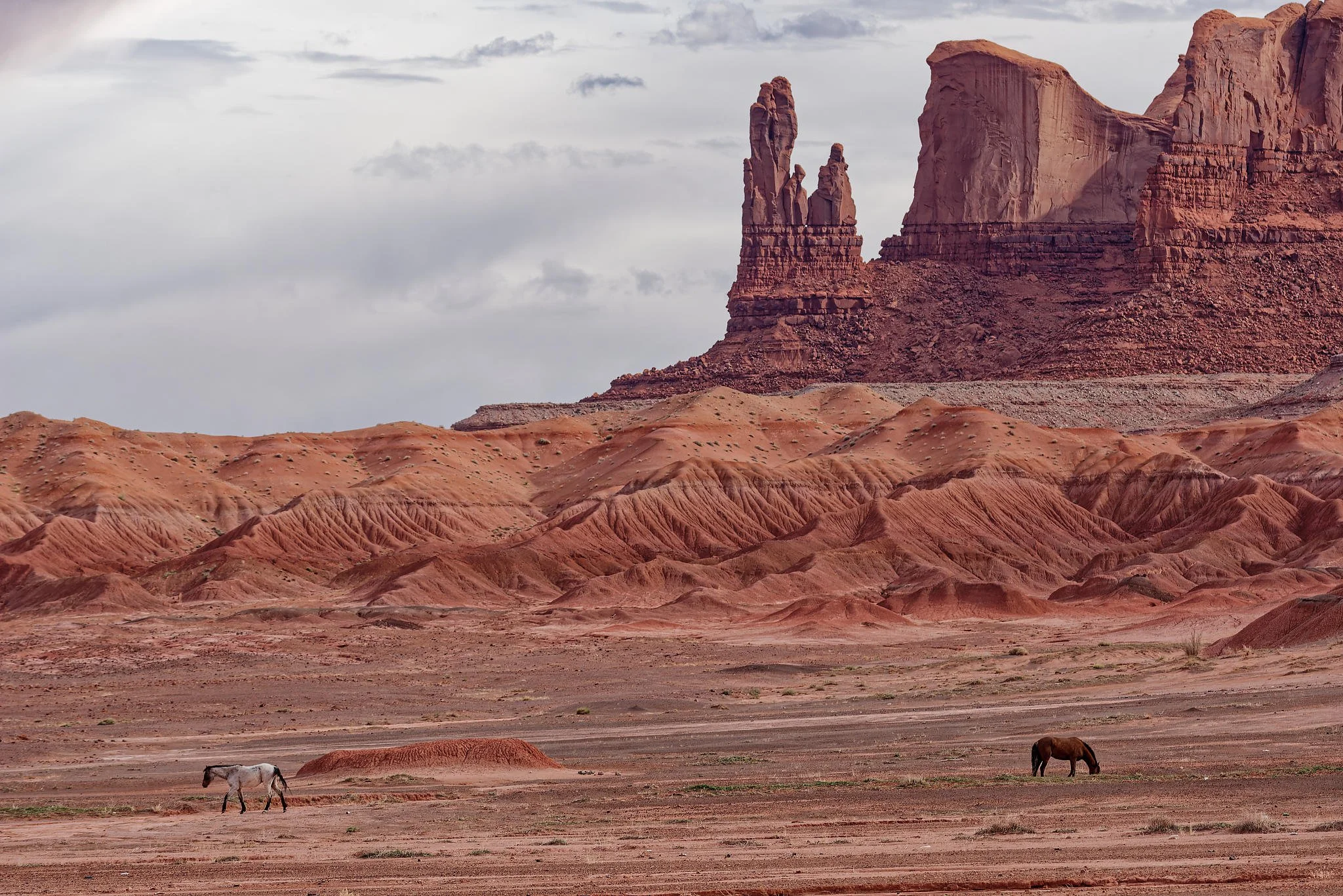 ELB_7457_DxO_DxO.jpg