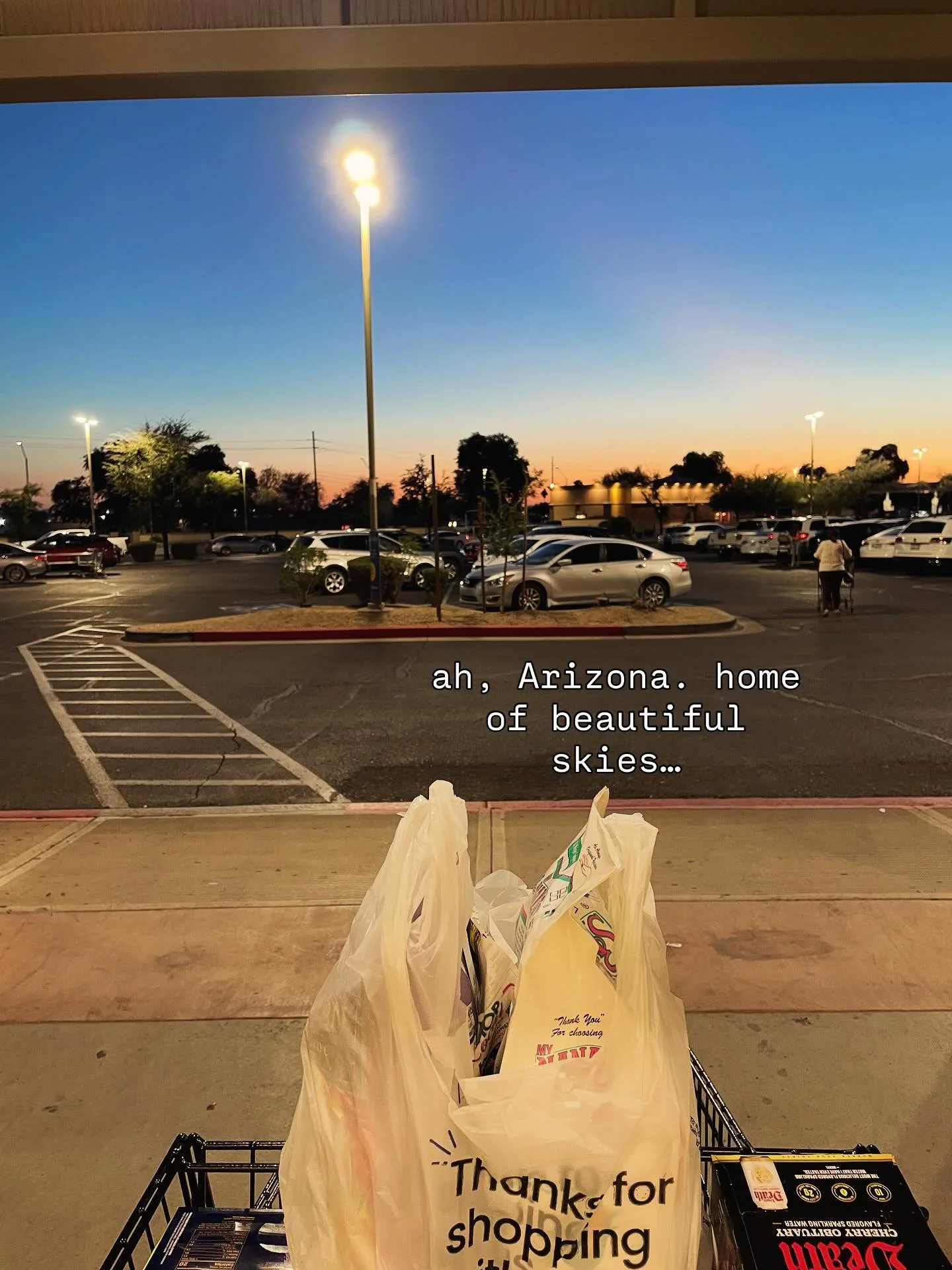 we love the desert but can&rsquo;t wait to move to California where there&rsquo;s *slightly less* of this kind of thing #nazipunksfuckoff #fucknazis #nationalism #amerikkka