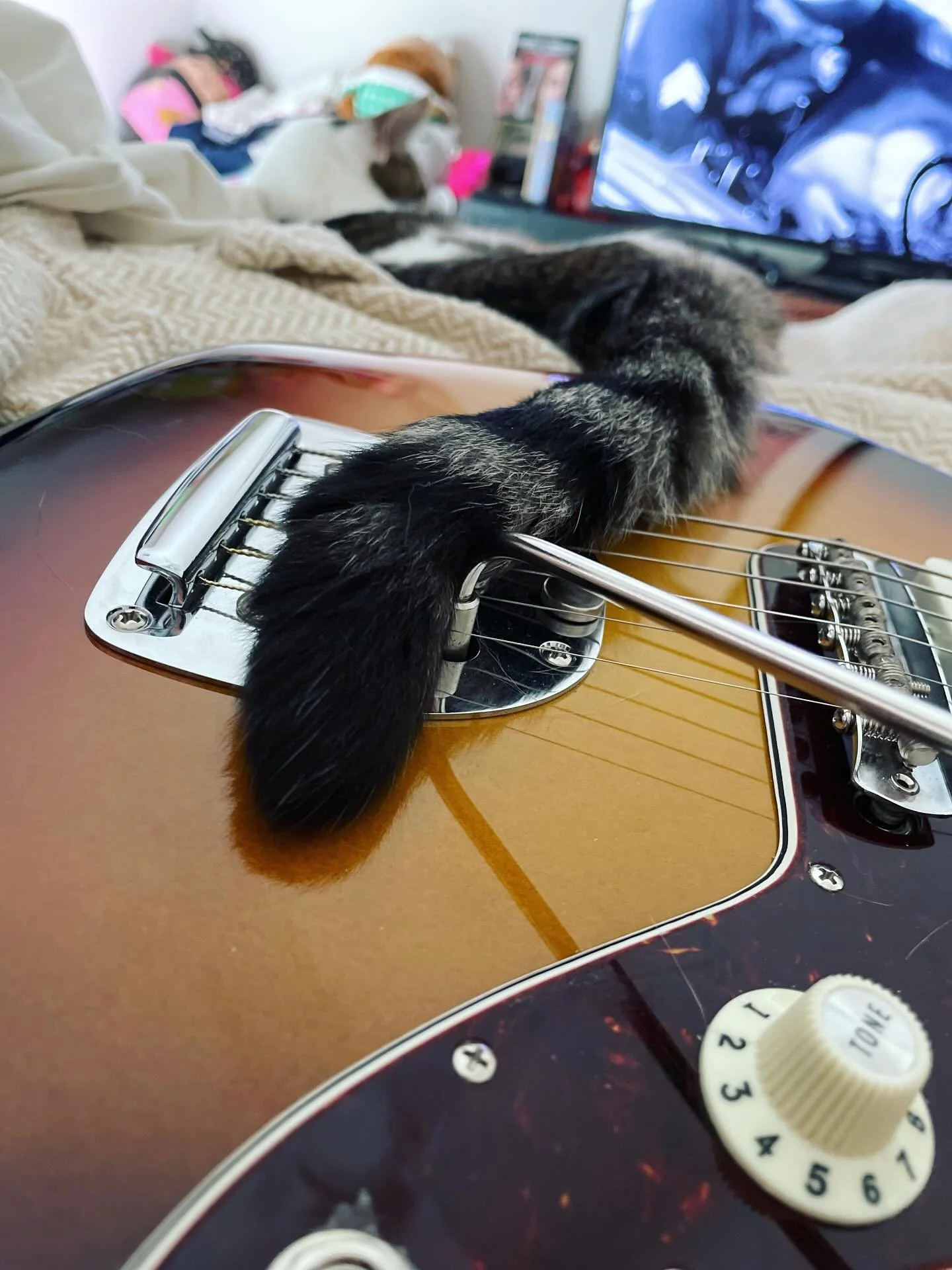 Tre-meow-lo #guitar #offsets #cats