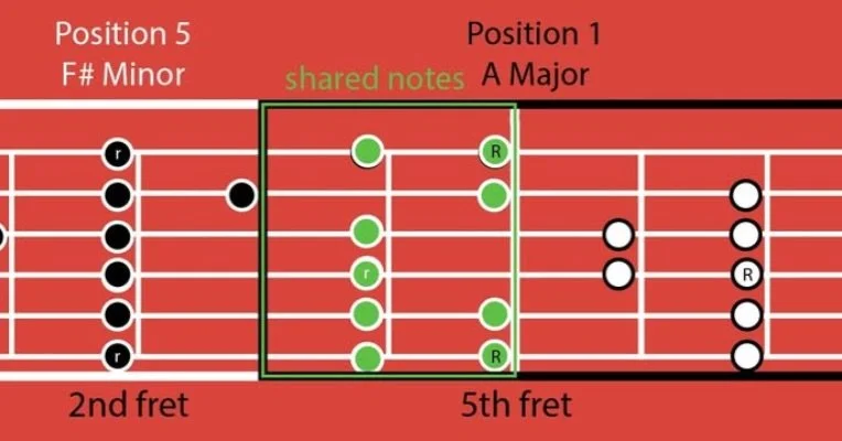When learning the fretboard, it&rsquo;s important to memorize not only the 5 positions, but where they intersect and share notes. 

I custom-made this for a student who is memorizing entire fretboard, and was struggling to visualize where the 5th and