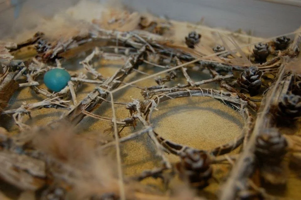 A close-up of a dried wreath or decorative layout made from twigs, pinecones, and dried leaves, with a small blue ball and a circular space in the center surrounded by sand or dirt.