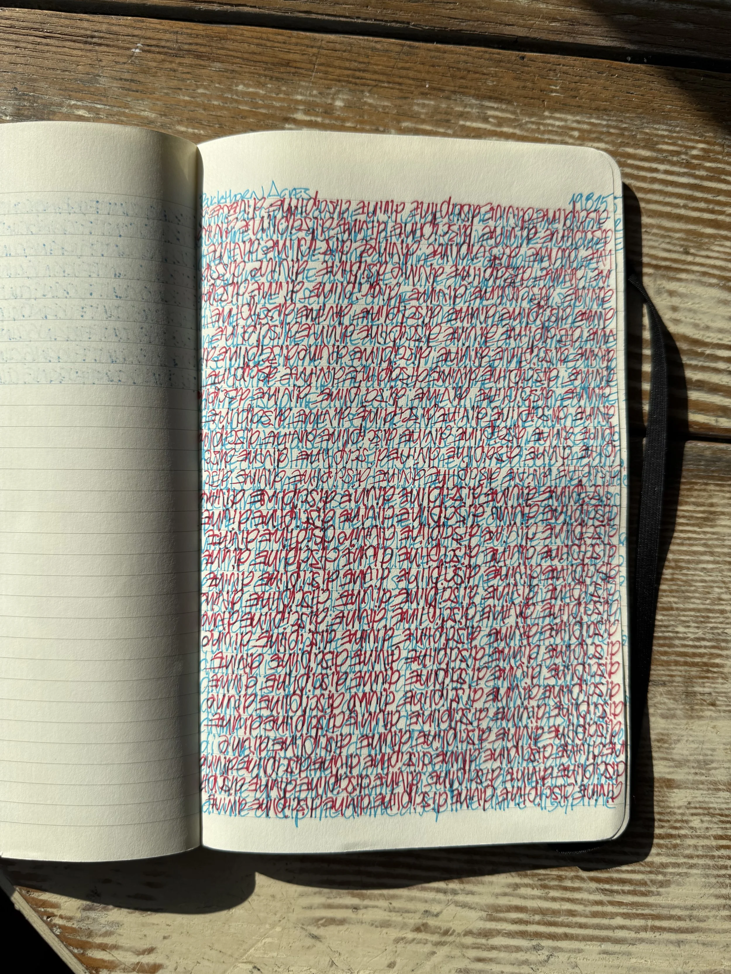 A notebook with handwritten notes in blue and red ink, placed on a wooden surface. The page is filled with dense, overlapping cursive writing.
