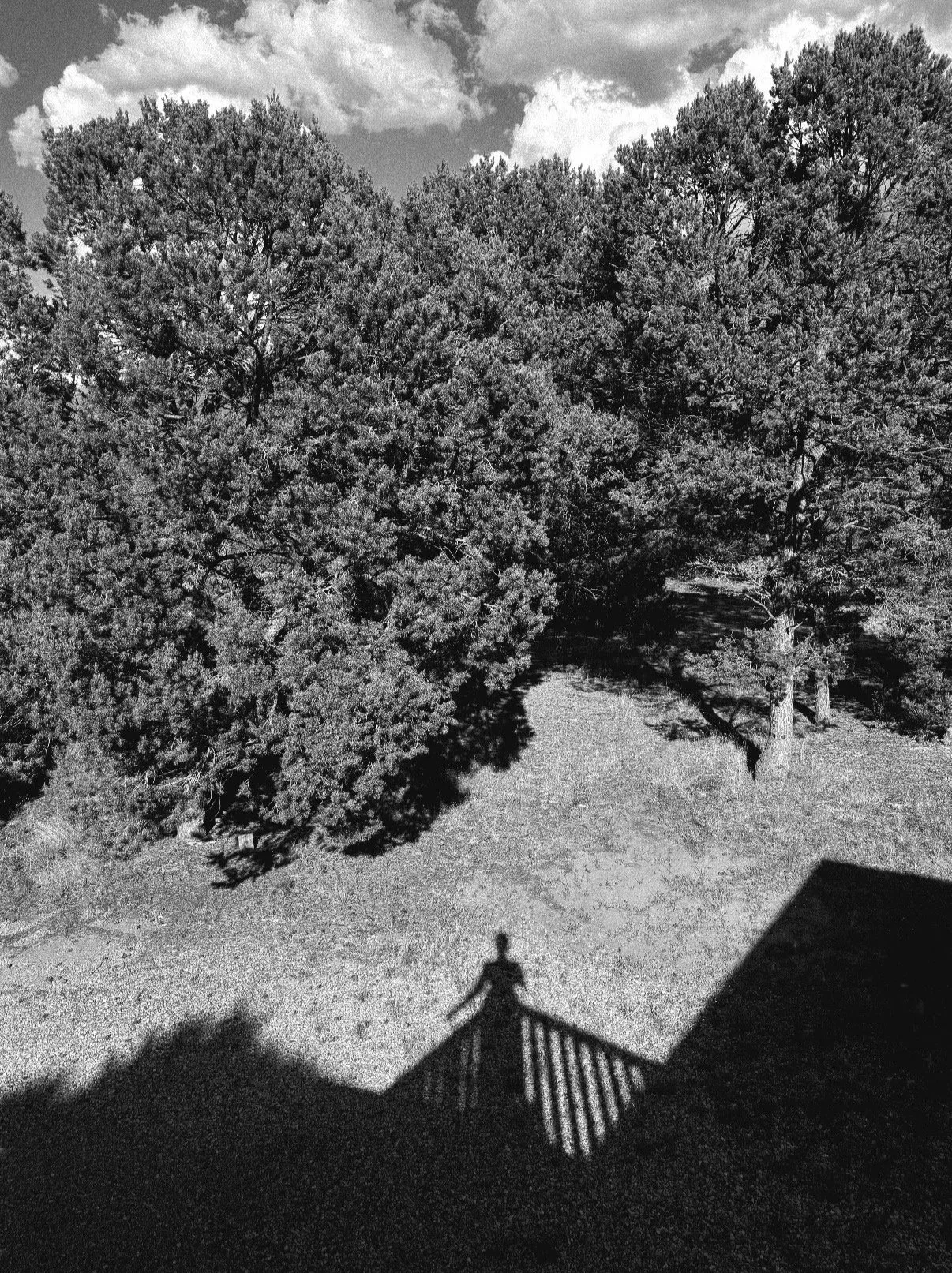 Rowe, NM 2025