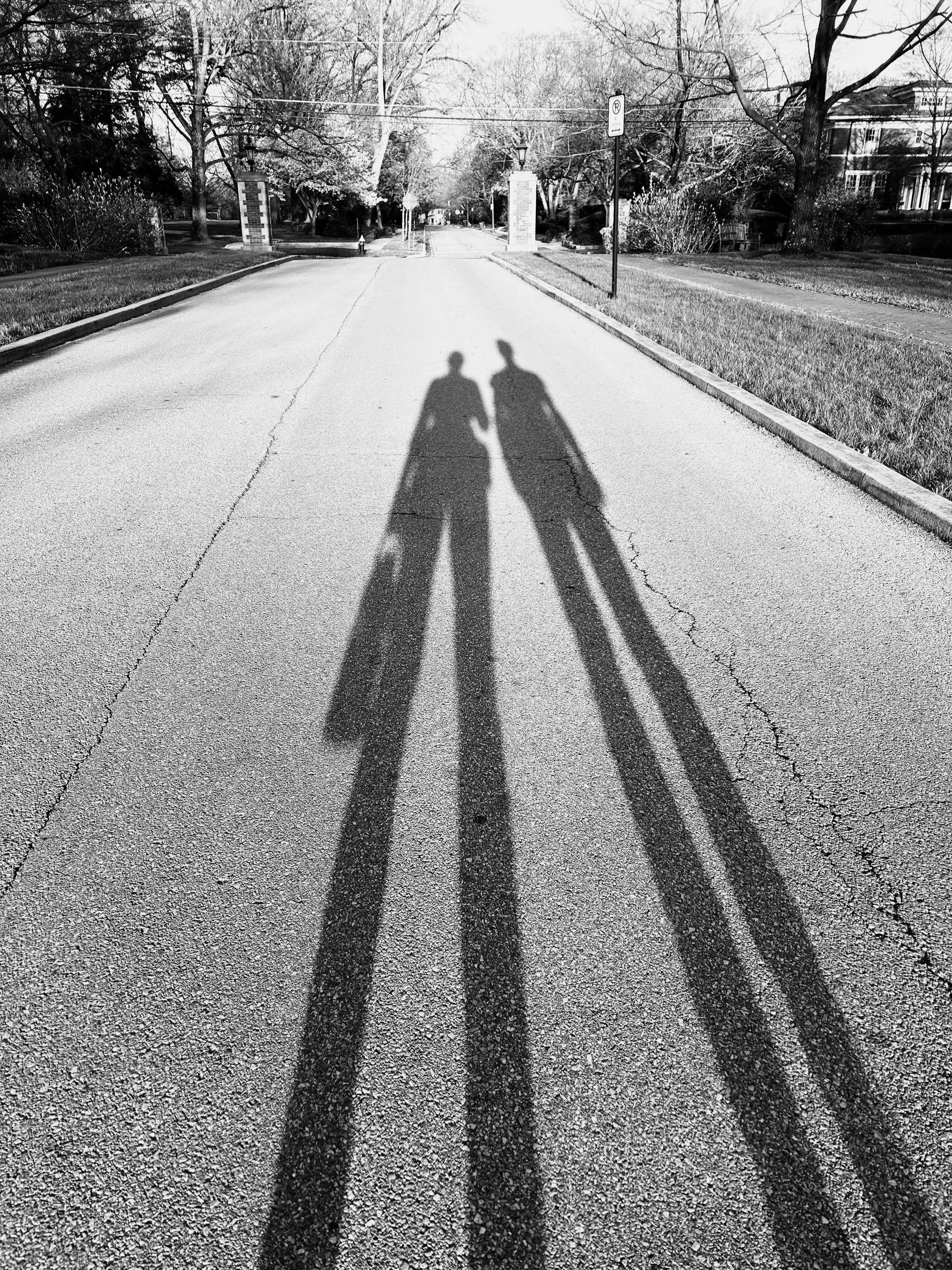 Mapplethorpe; Columbus, Ohio 2024