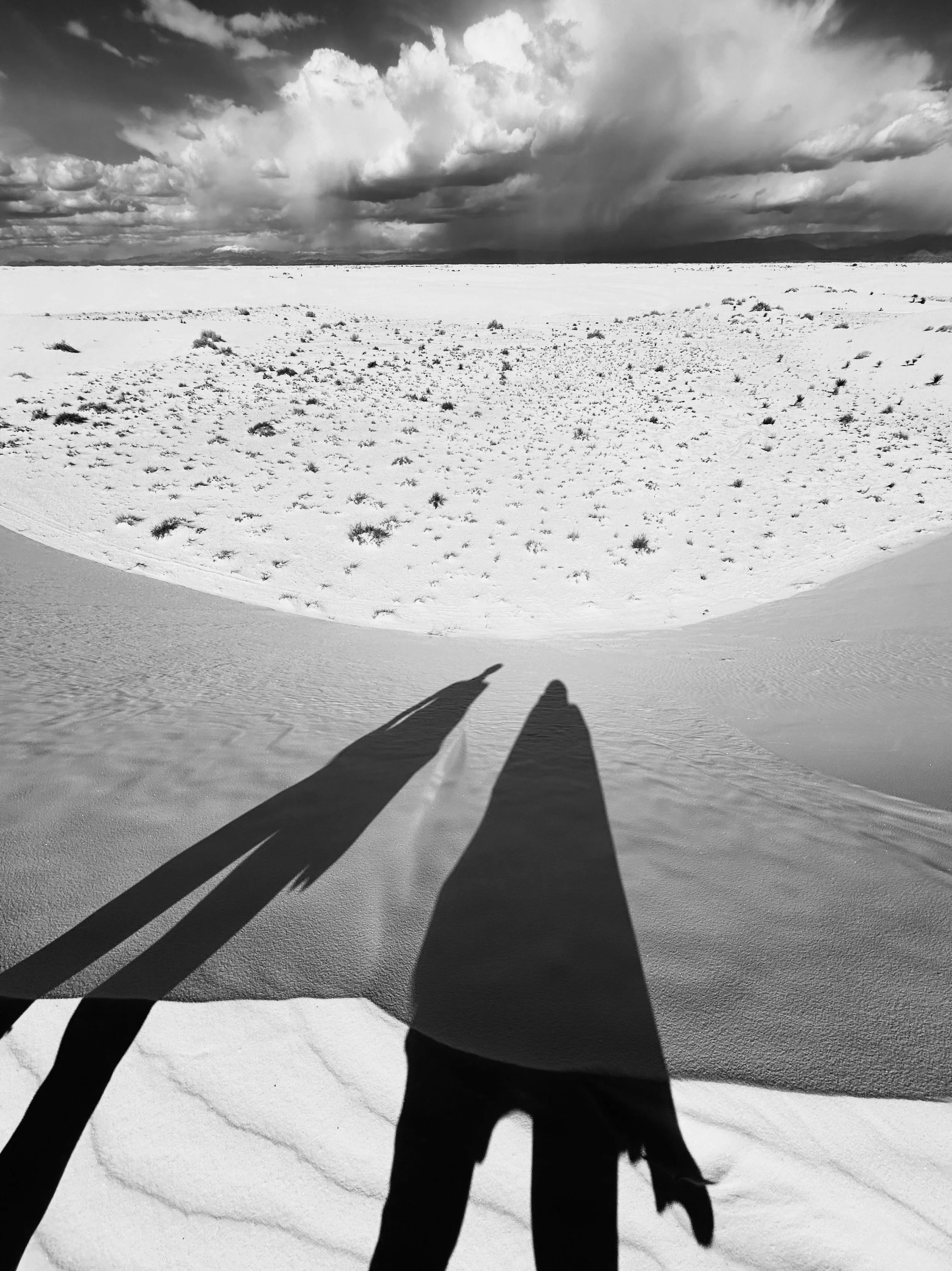 Mapplethorpe; White Sands, New Mexico 2024