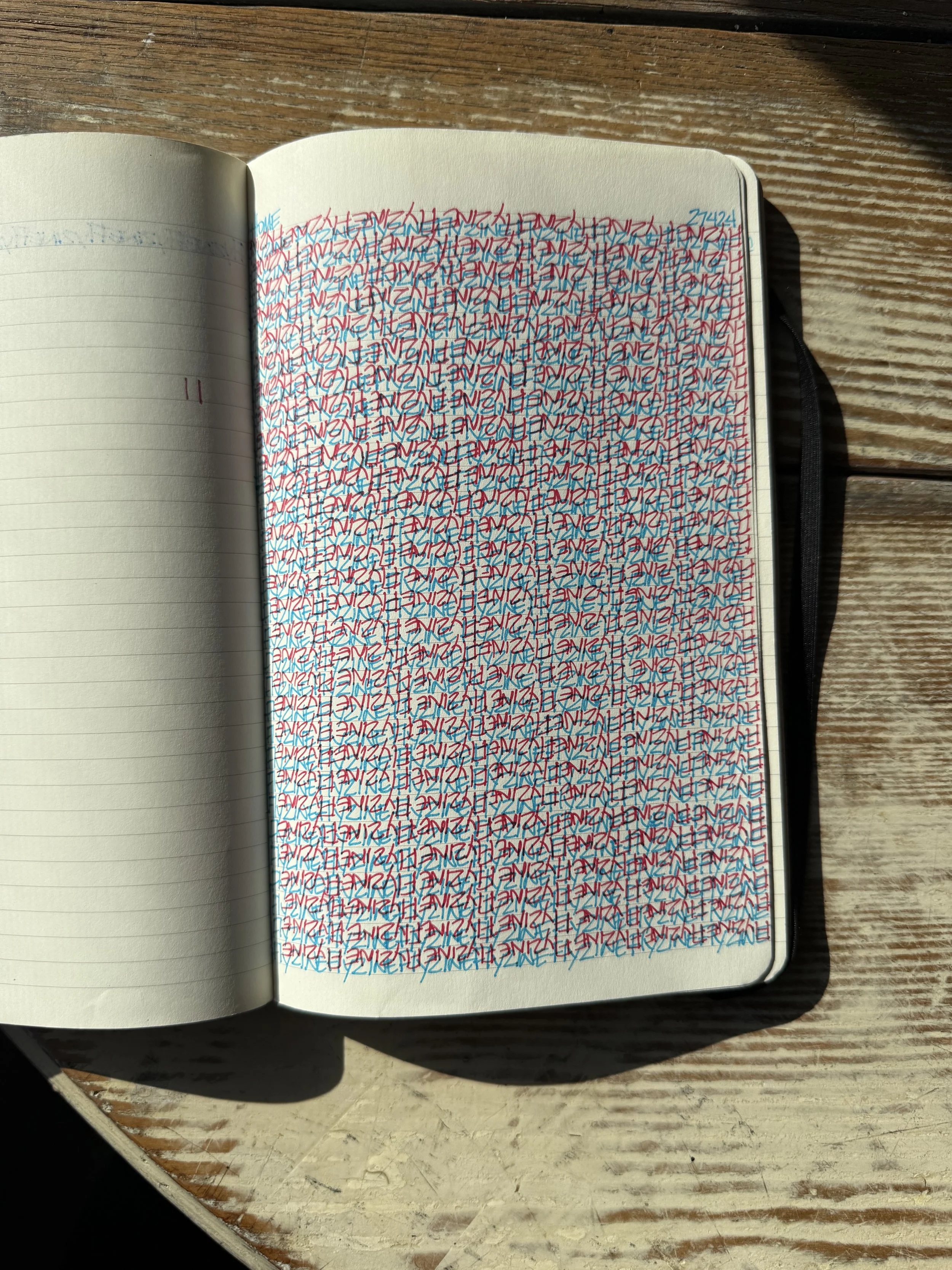Open notebook filled with densely handwritten text in red and blue ink.
