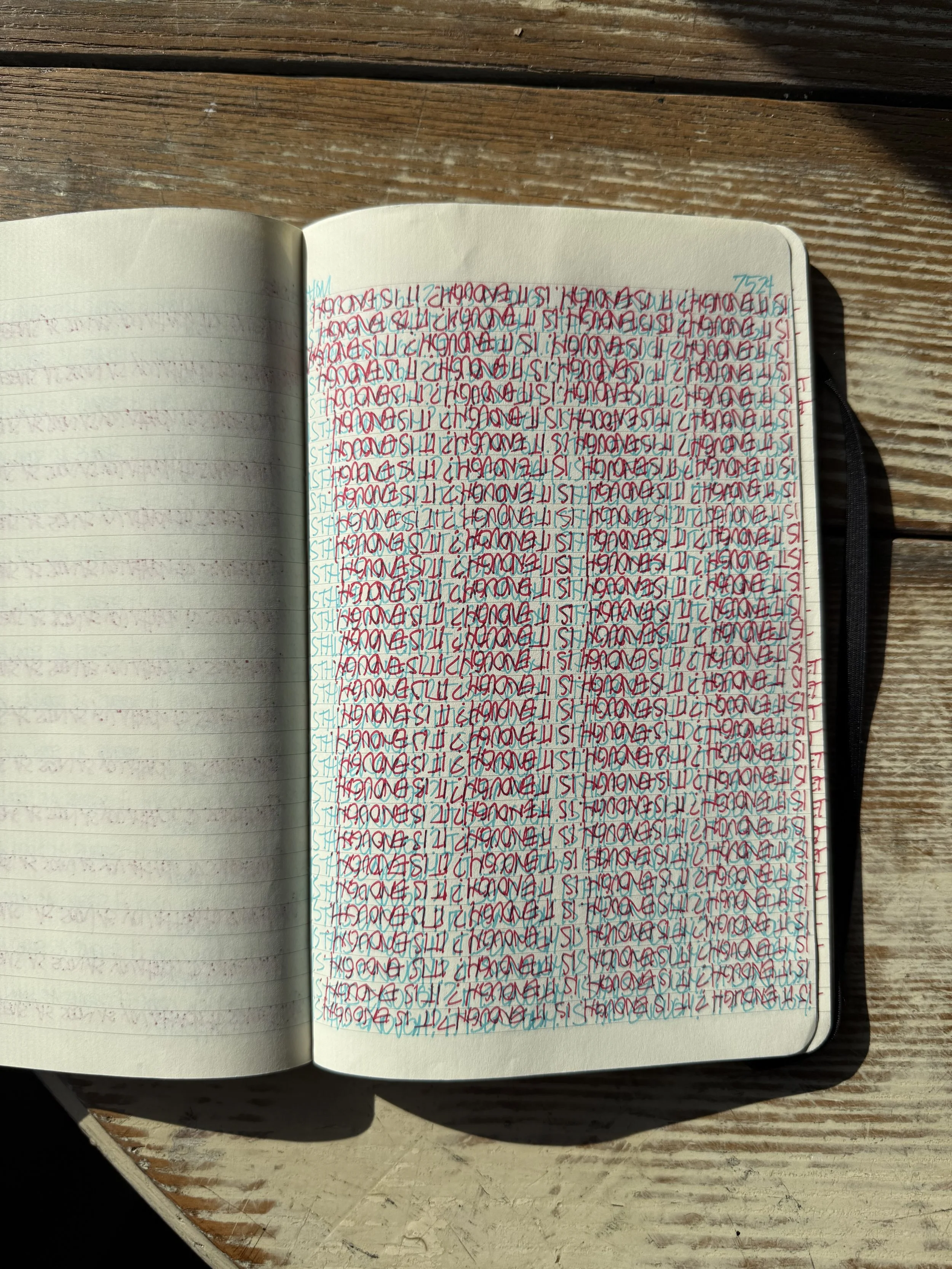 An open notebook with handwritten text in multiple colors, placed on a wooden surface in sunlight.
