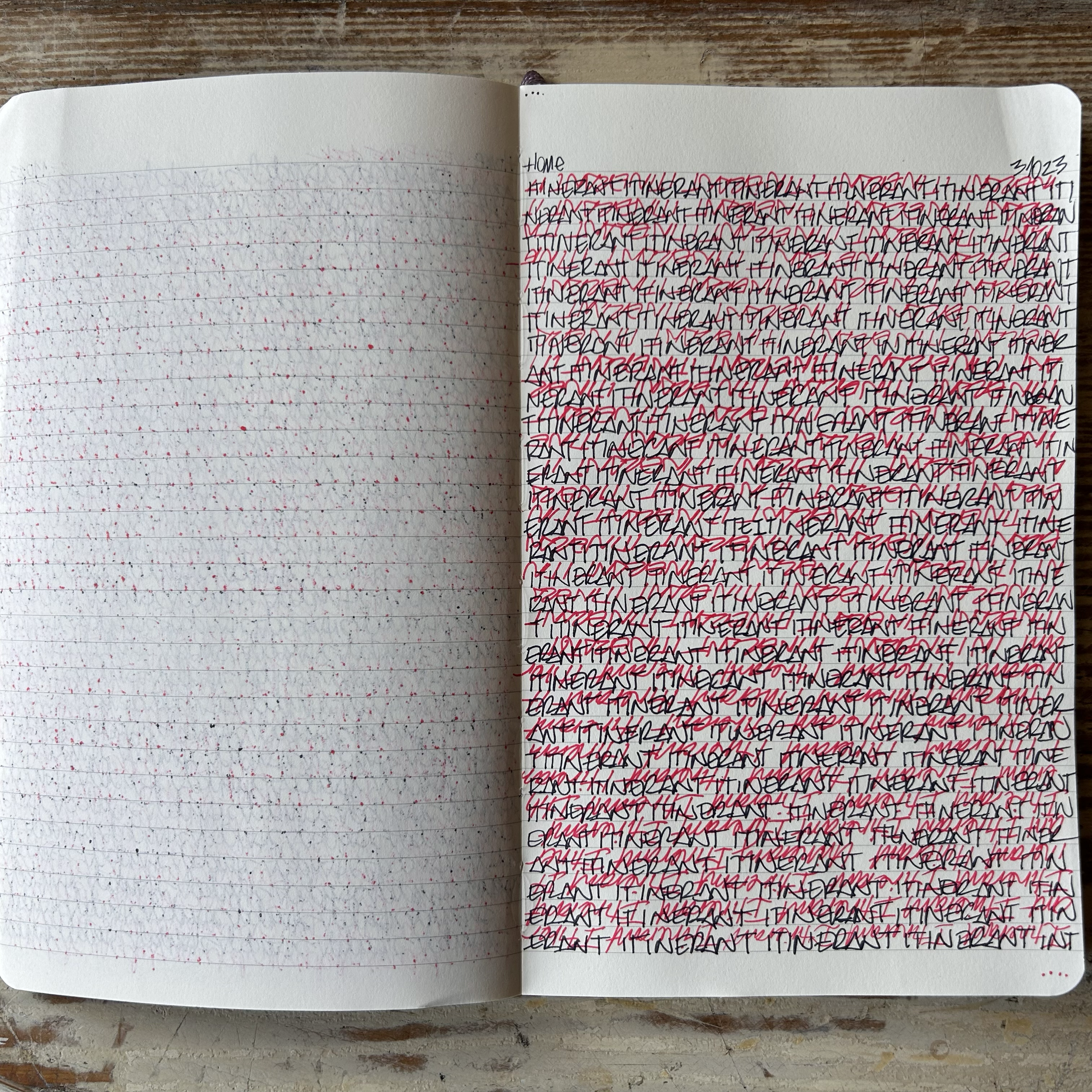 Open notebook with handwritten notes, with the right page filled with black and red ink writing, and the left page mostly blank with some red dots and grid lines. The word 'Home' is written at the top of the right page.