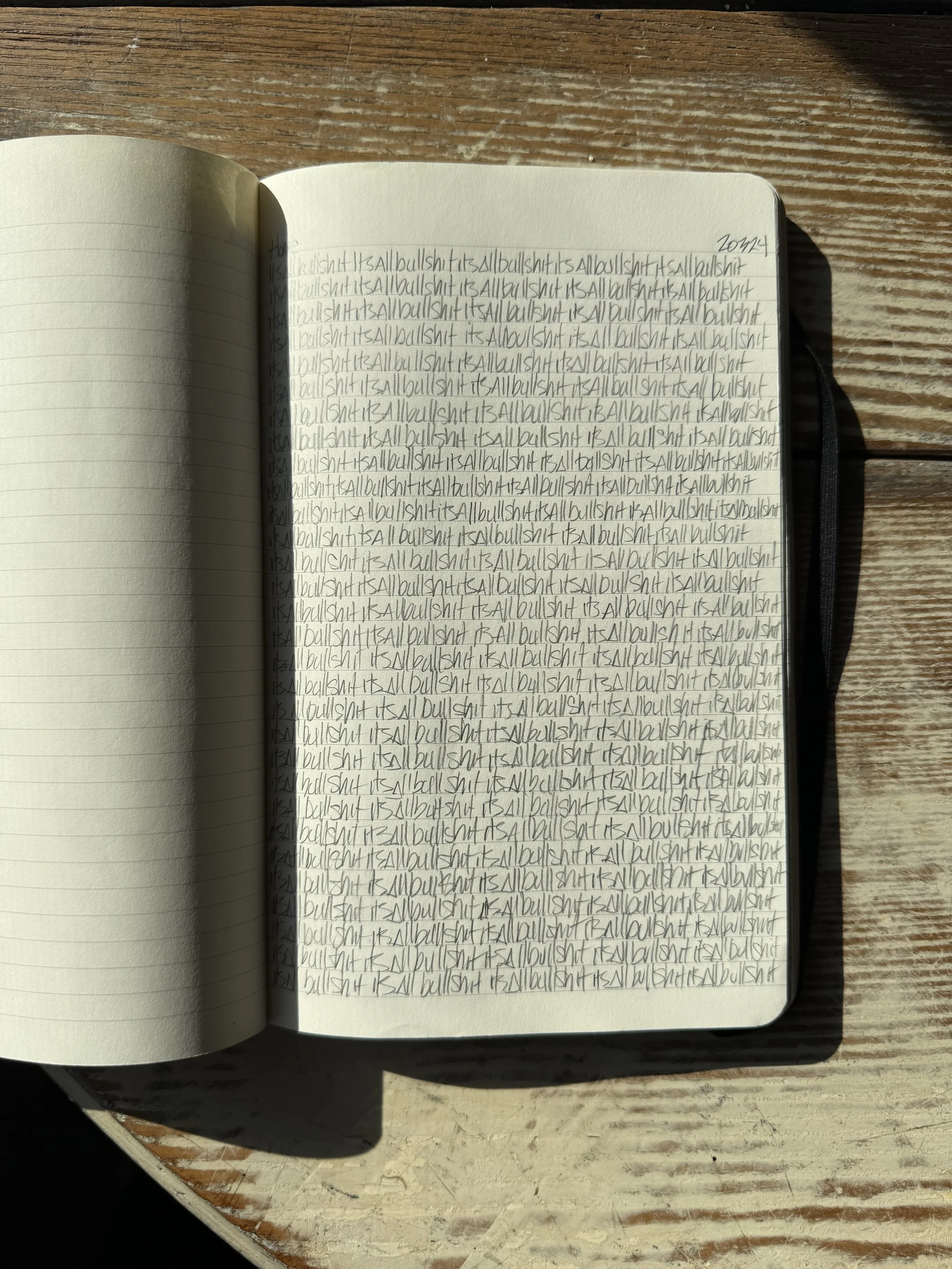 Open notebook on a wooden table, filled with handwritten text repeatedly stating 'It's all bullshit', with the top right corner showing the year 2014.