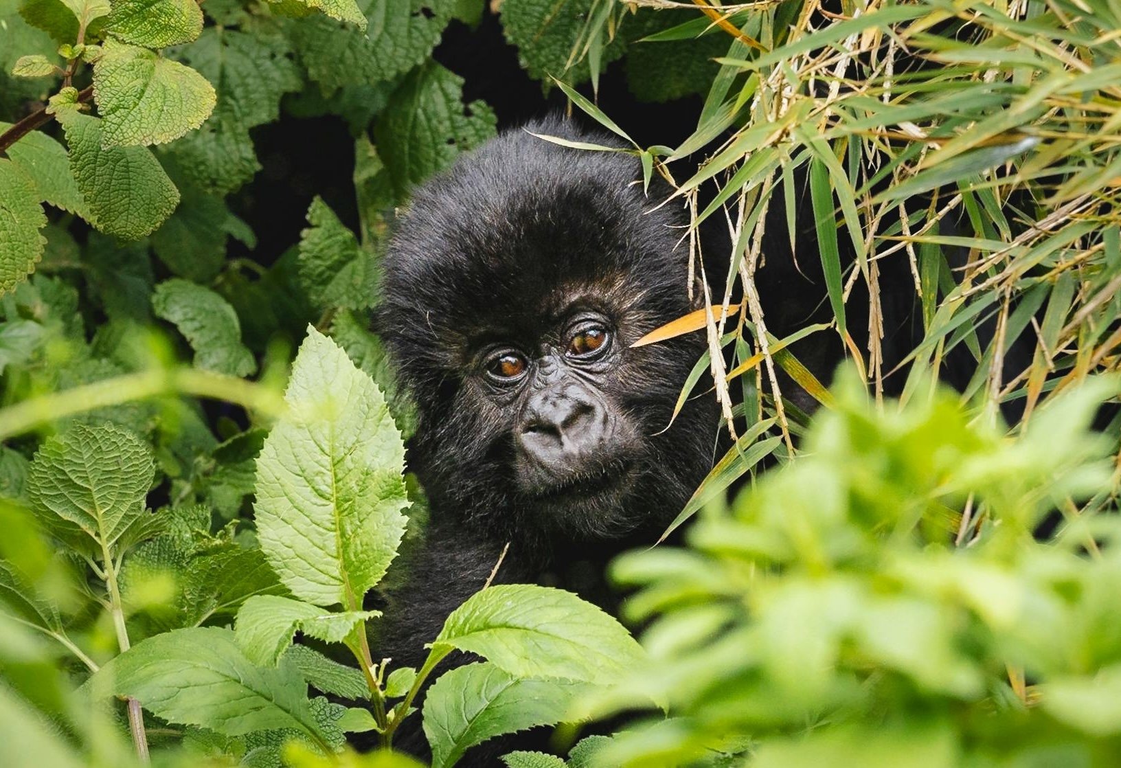 Photo by Forian Kriechbaumer_PB