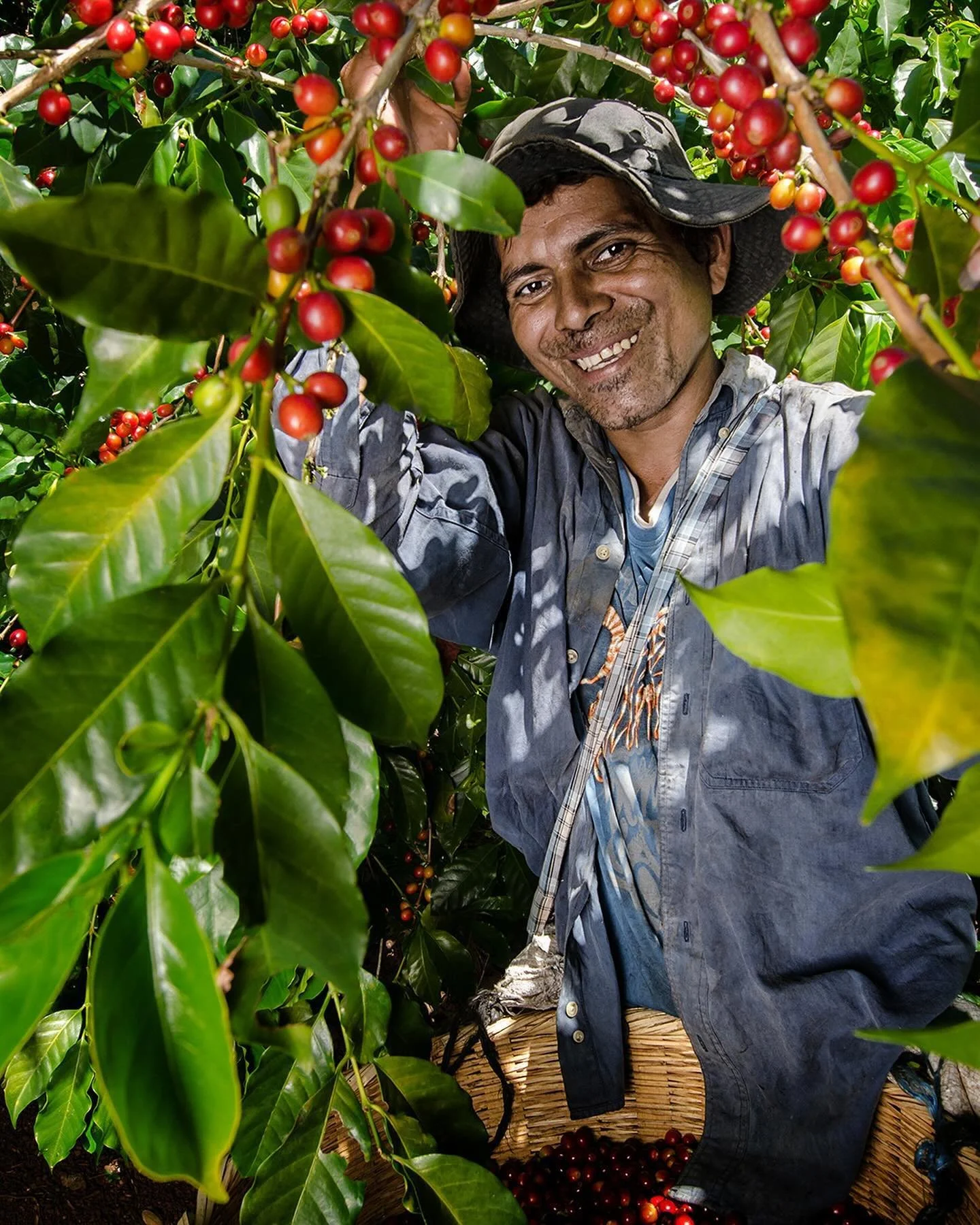 Coffee estate farms.

#coffeegram #coffeelife