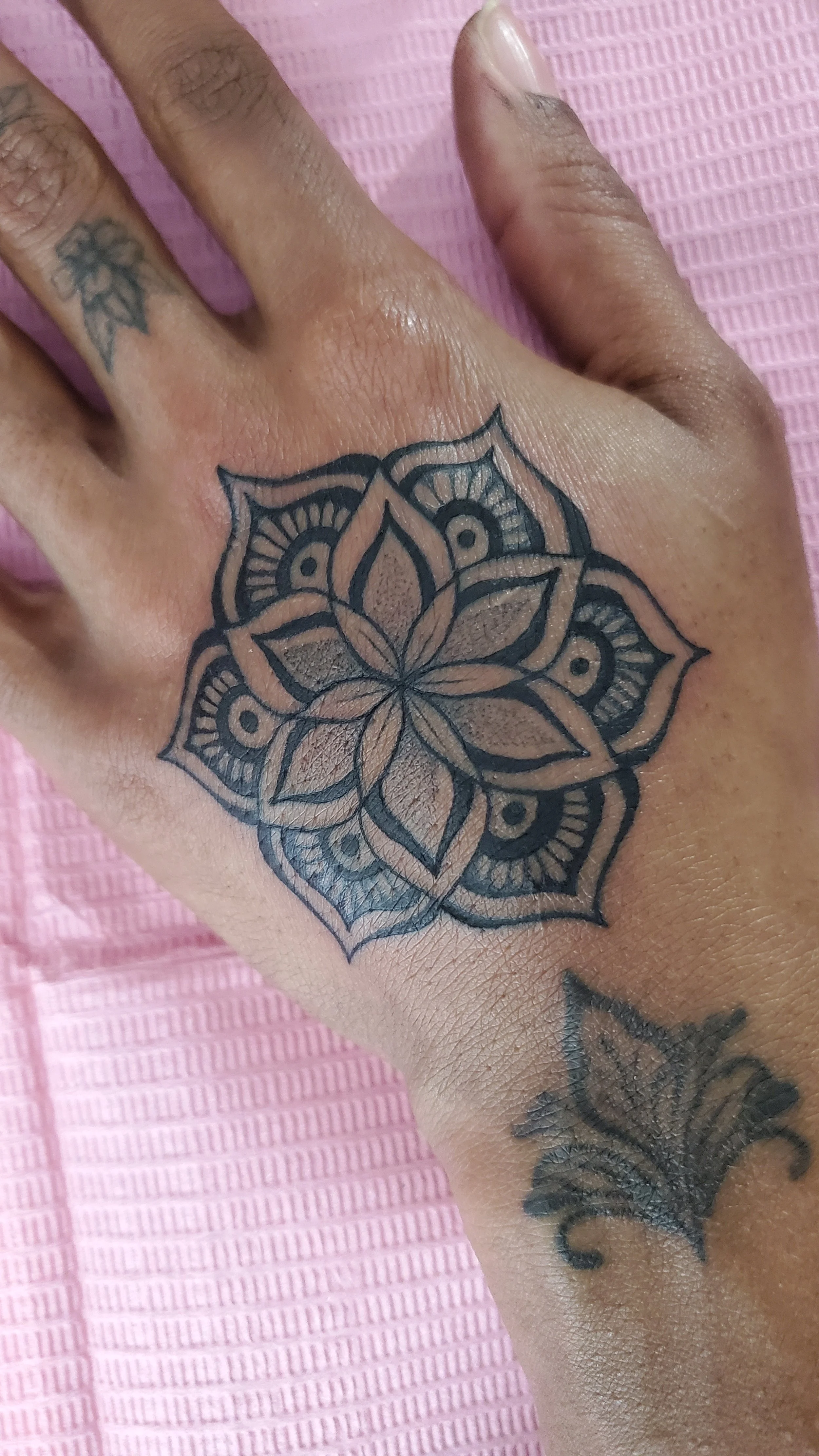 20240118_003514 (1).jpg