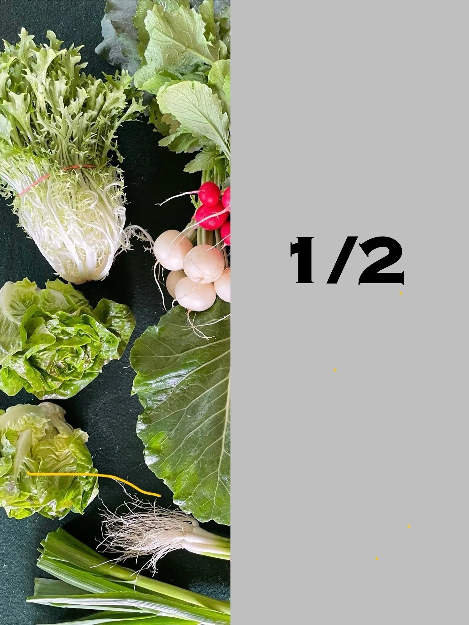 Spring 2026 CSA Half Share - Saturday Richland Park Farmers Market Pickup