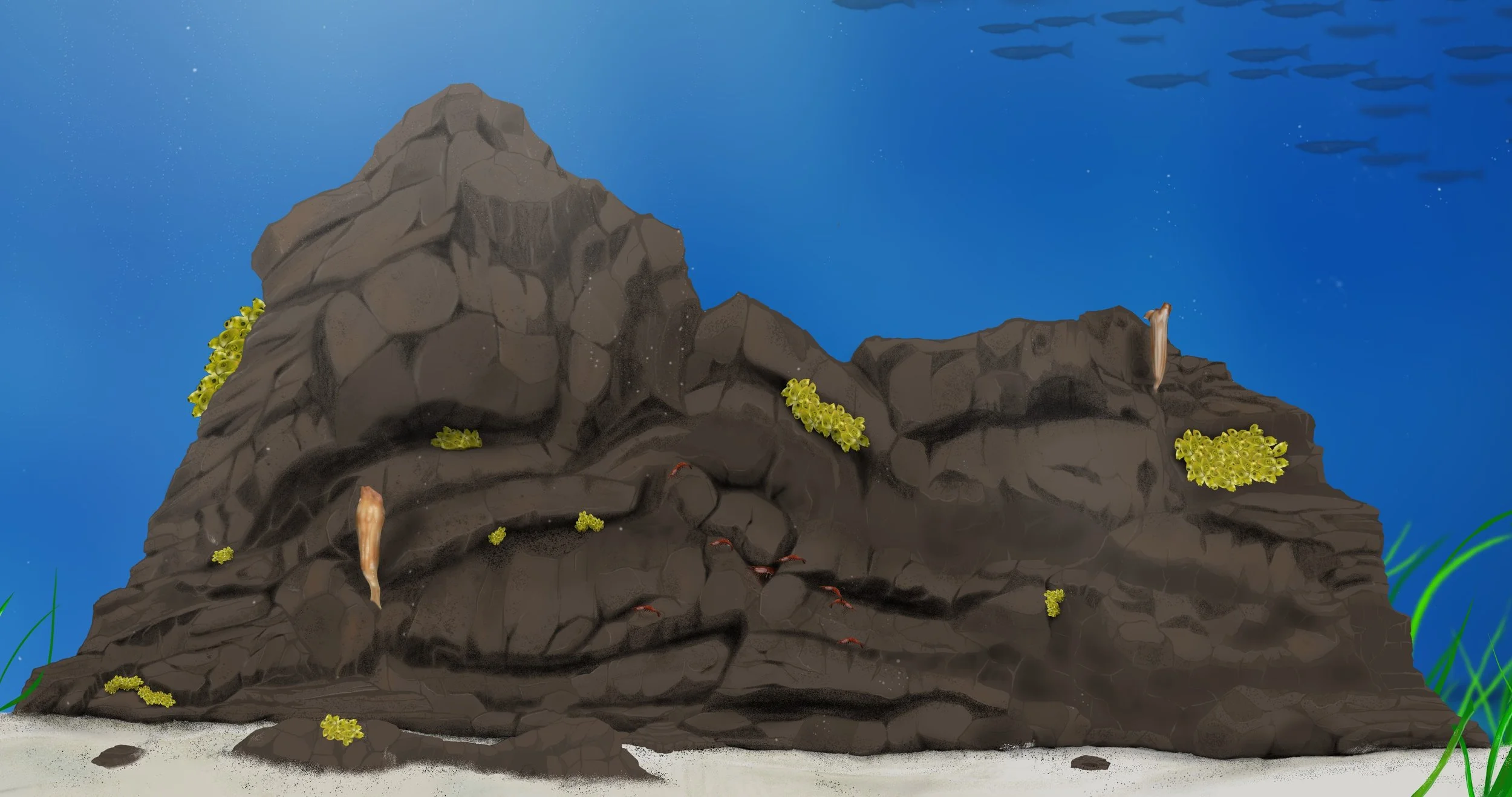 Screenshot 2023-06-01 160427.jpg