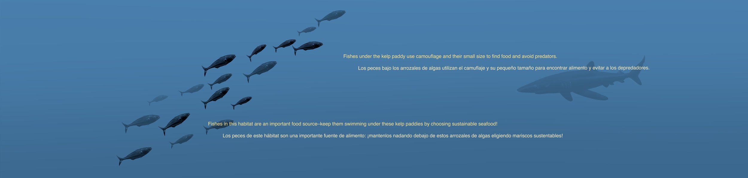 Kelp paddy image RIGHT with font.jpg