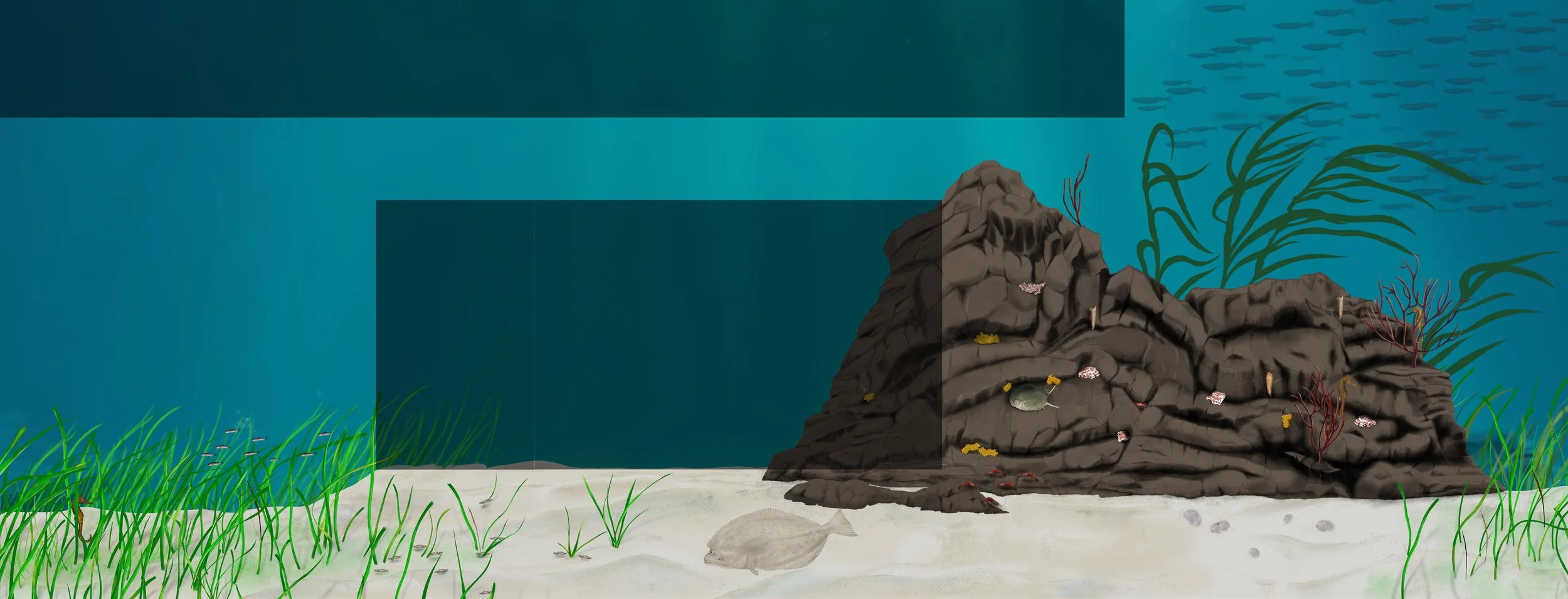 S2 wall final image  8232023 267x102 200dpi.jpg