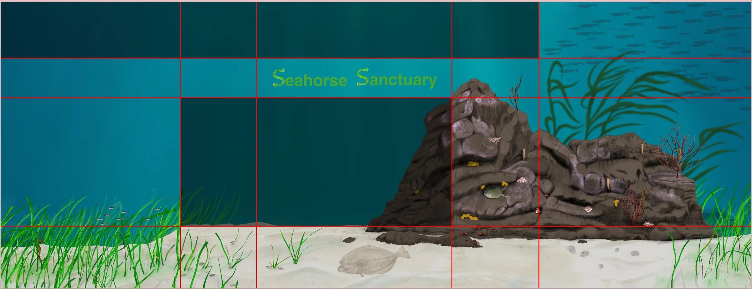 Seahorse update 7-28-2023.jpg