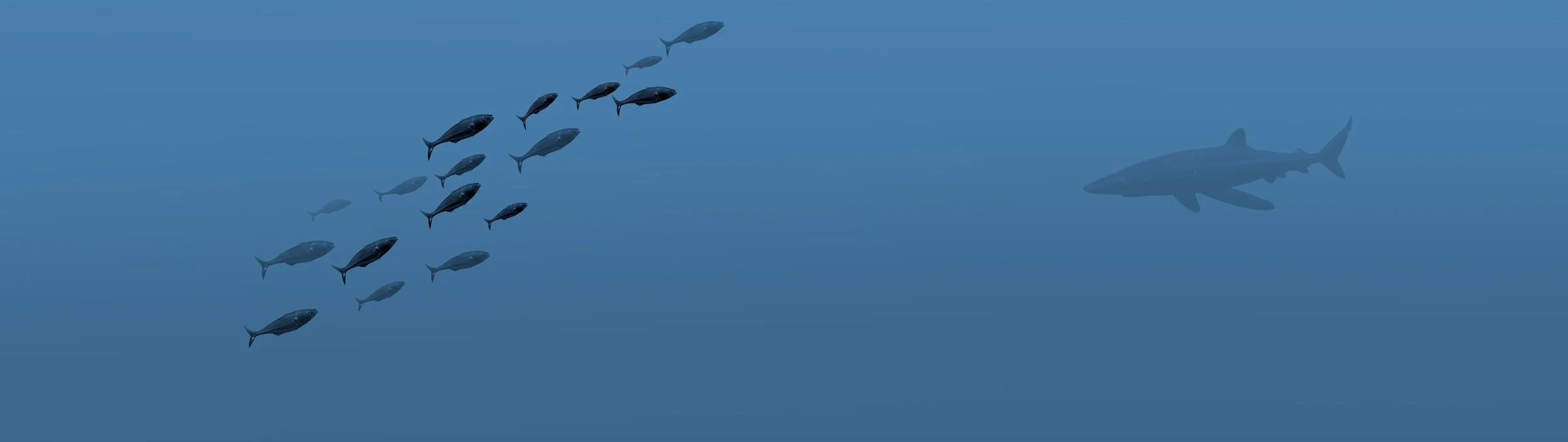 Kelp paddy image RIGHT.jpg