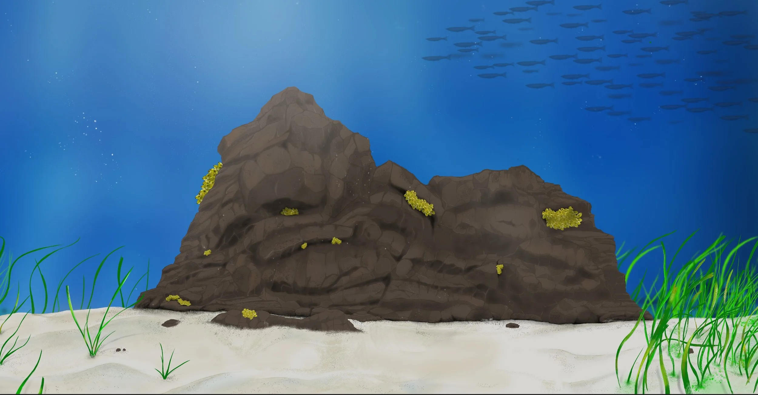 Screenshot 2023-05-31 160104.jpg