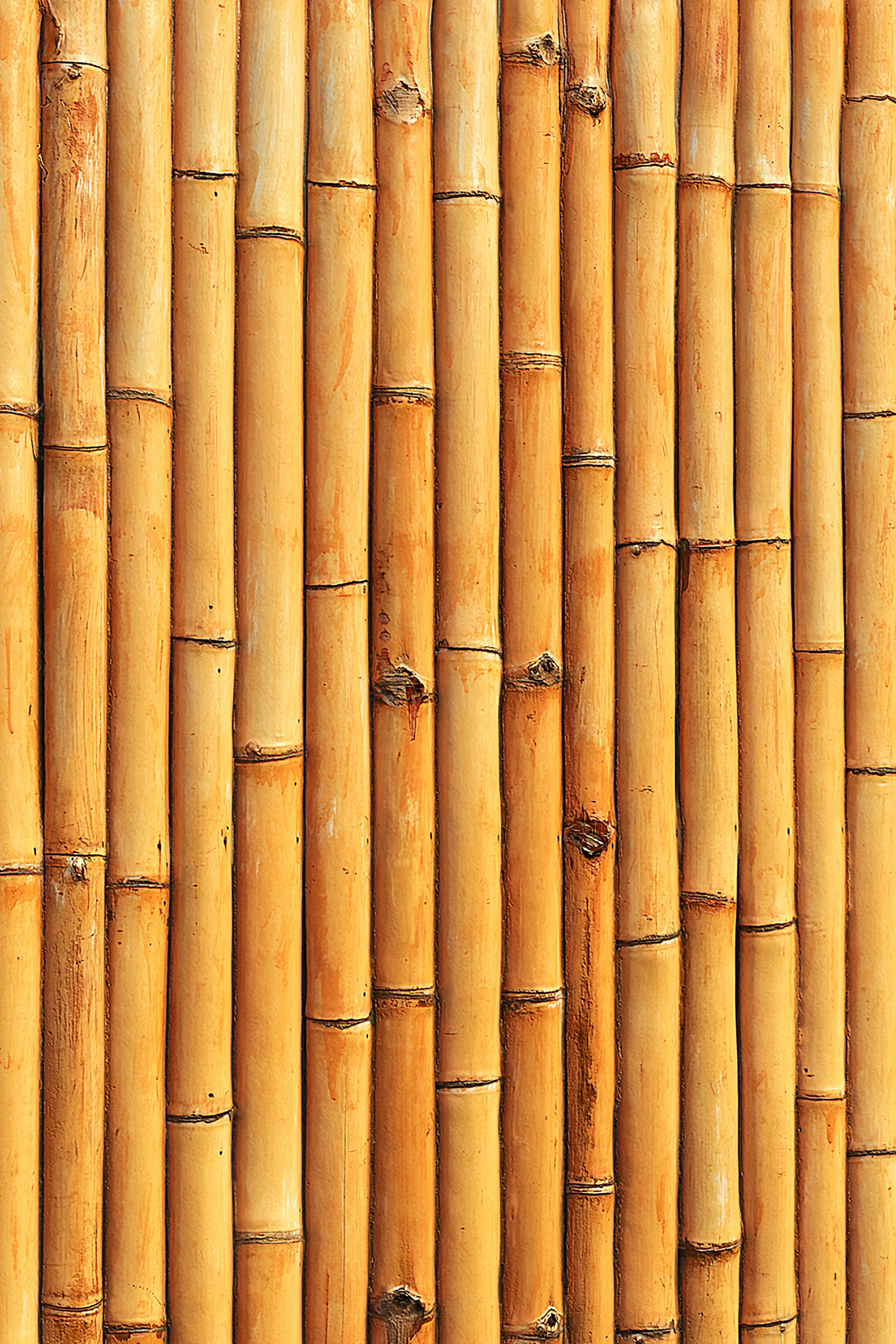 bamboo side panel.jpg