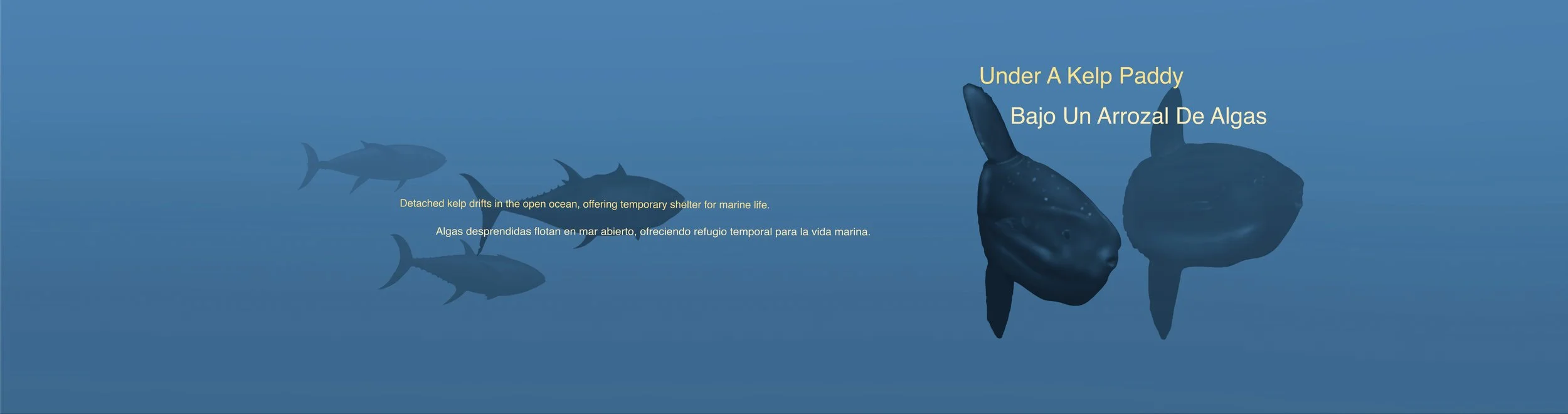 Kelp paddy image LEFT 144x38 with Bleed updated.jpg