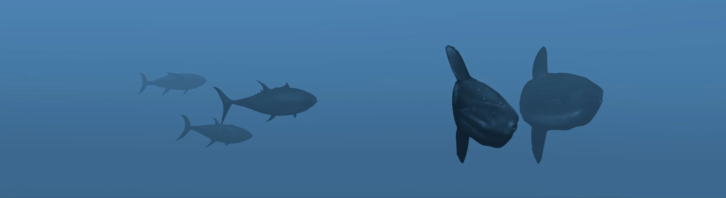 Kelp paddy image LEFT.jpg