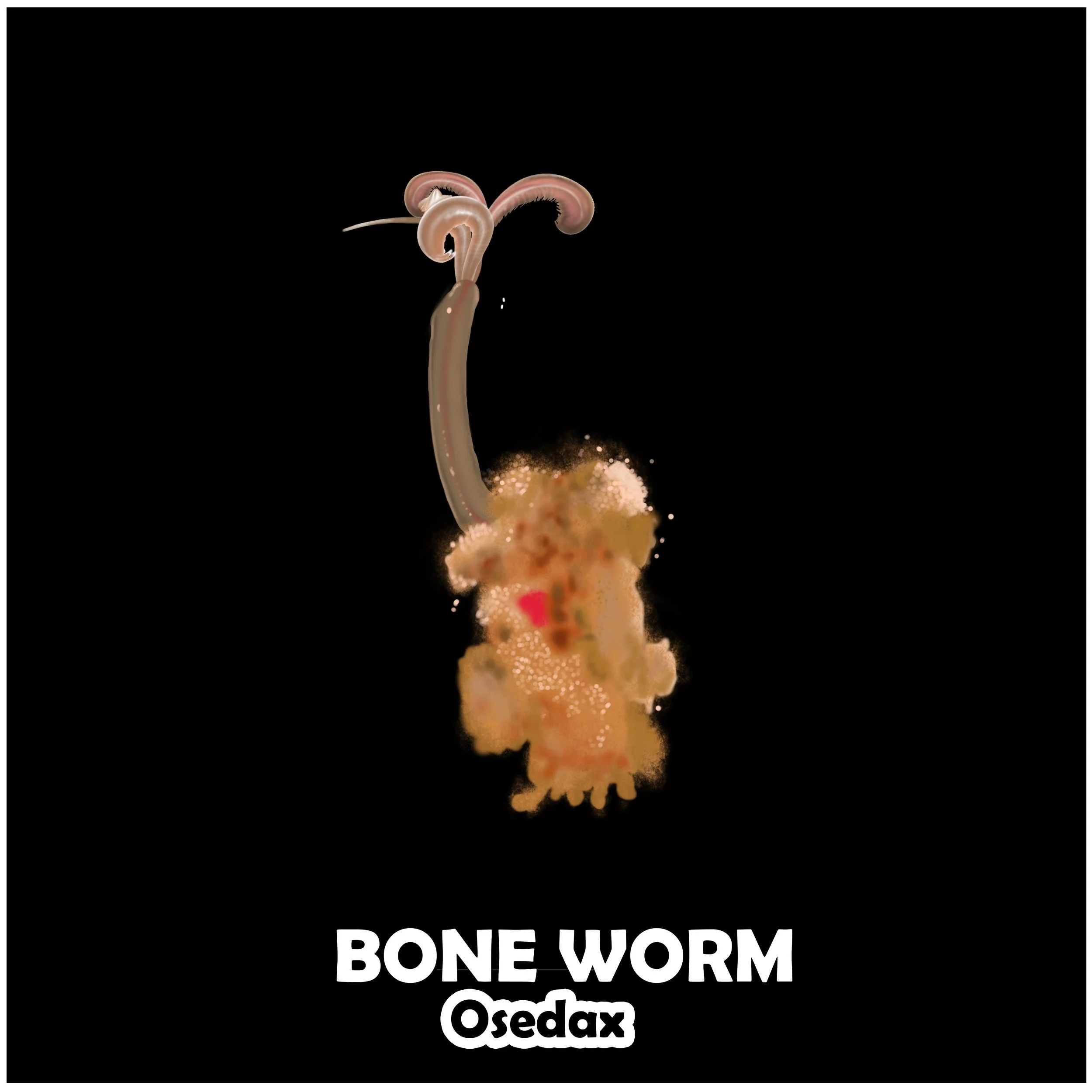 BONE WORM.jpg
