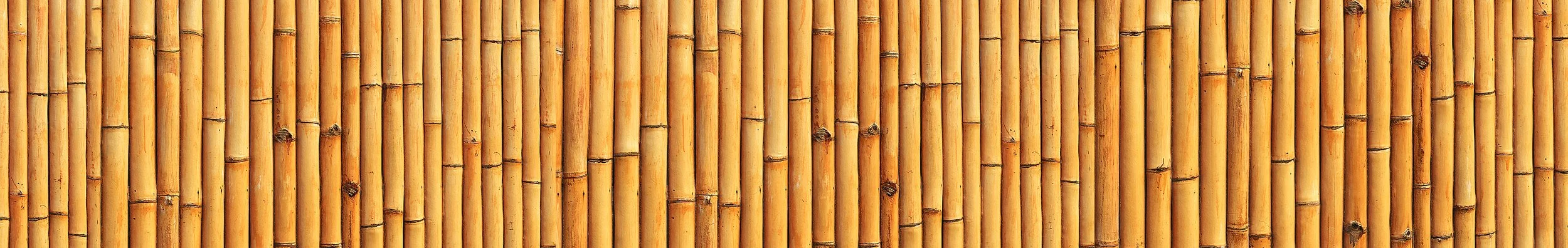 tiki front bamboo.jpg