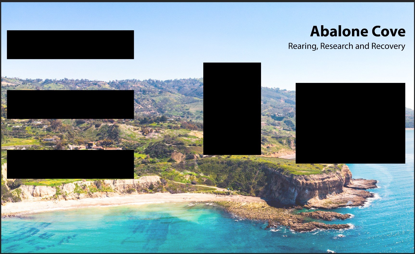 Abalone Cove face with text 7 final measurements .JPG