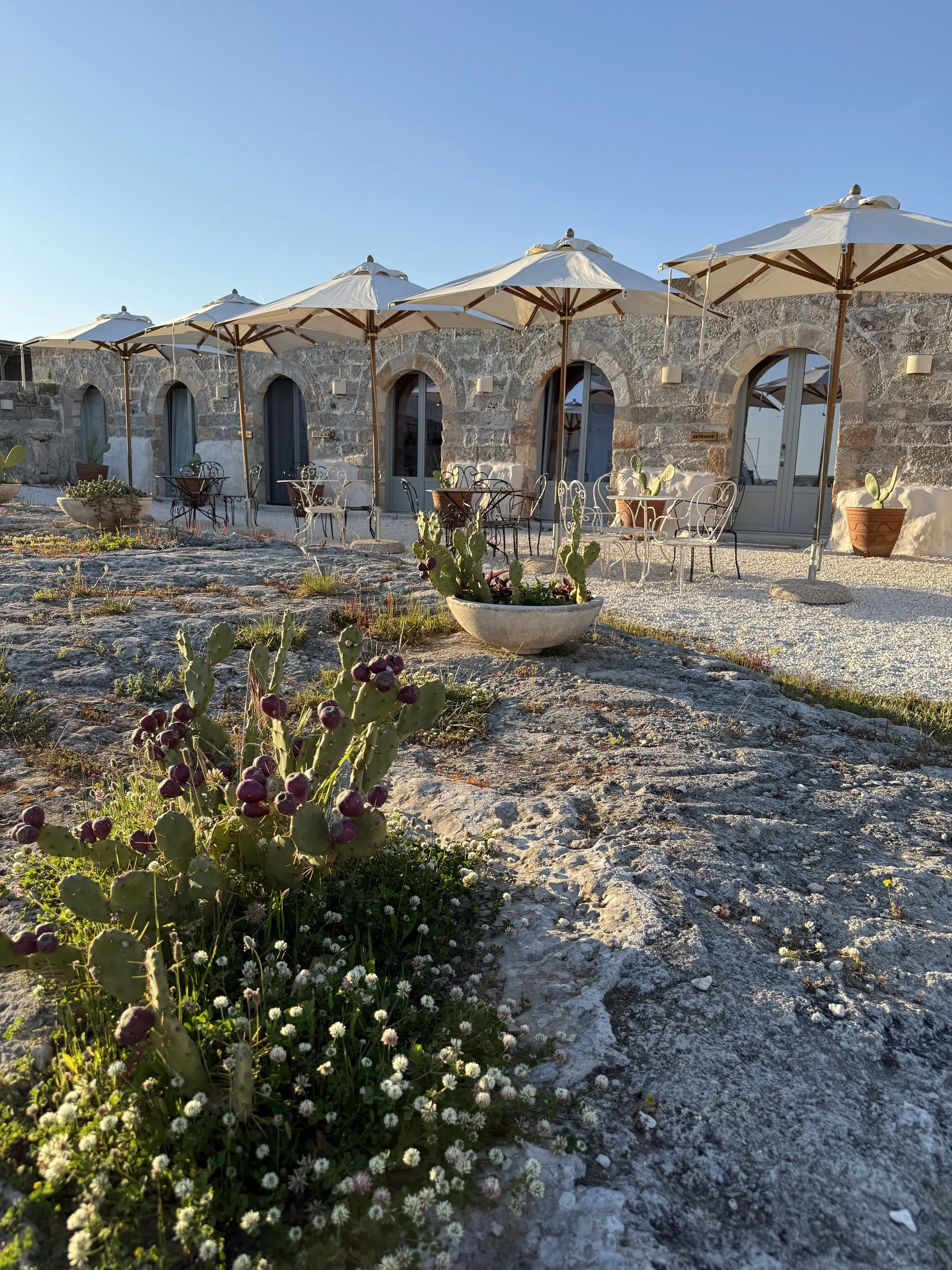 Historical stone church with round clock and dome, surrounded by colorful flowers and a courtyard.
