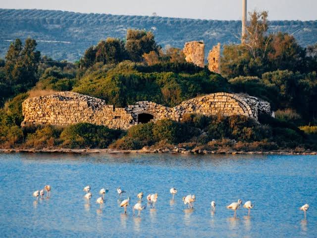 Historical stone church with round clock and dome, surrounded by colorful flowers and a courtyard.