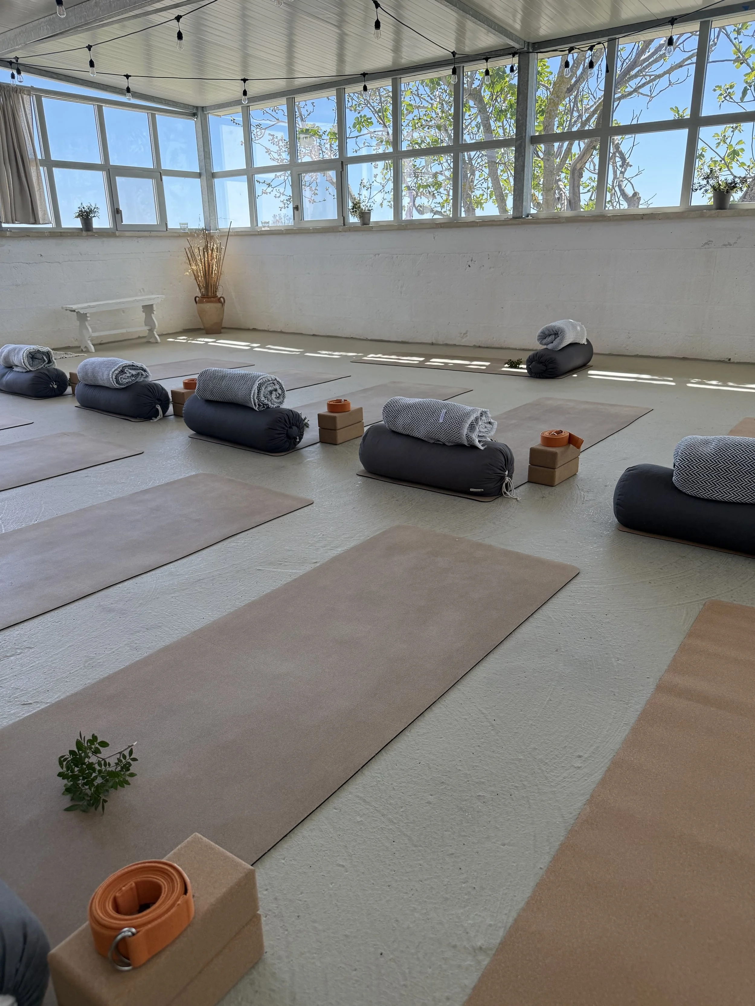 Fully equipped yoga shala with mats, blocks, straps and blankets
