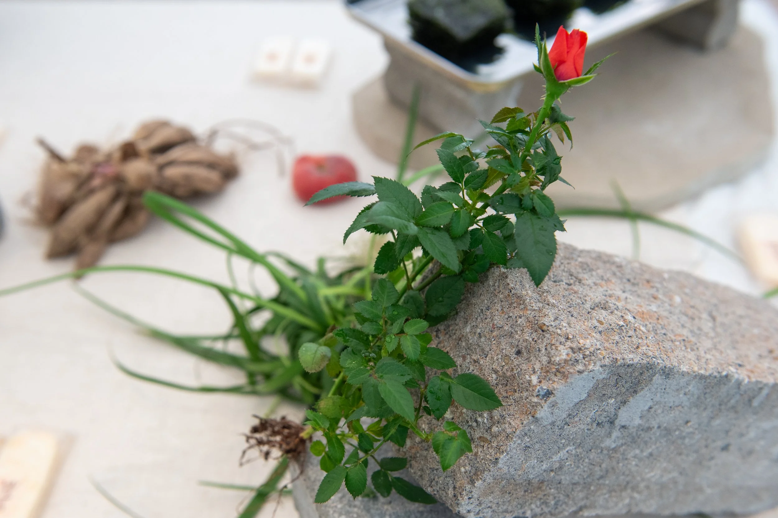 Old Friends Meet again - exhibition curated by Julia Oram 