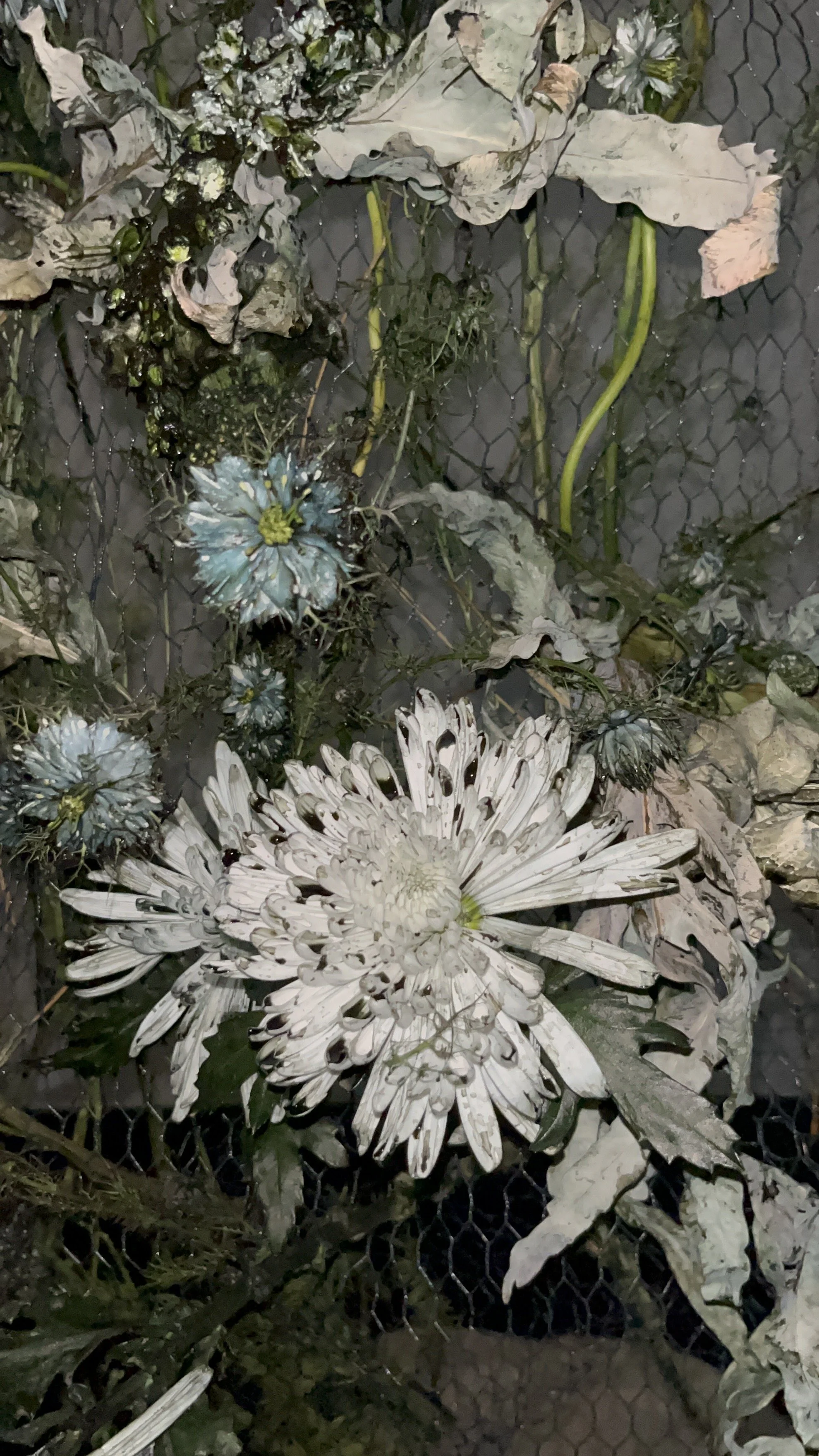 Indigo flowers performance at Nion Playground gallery 