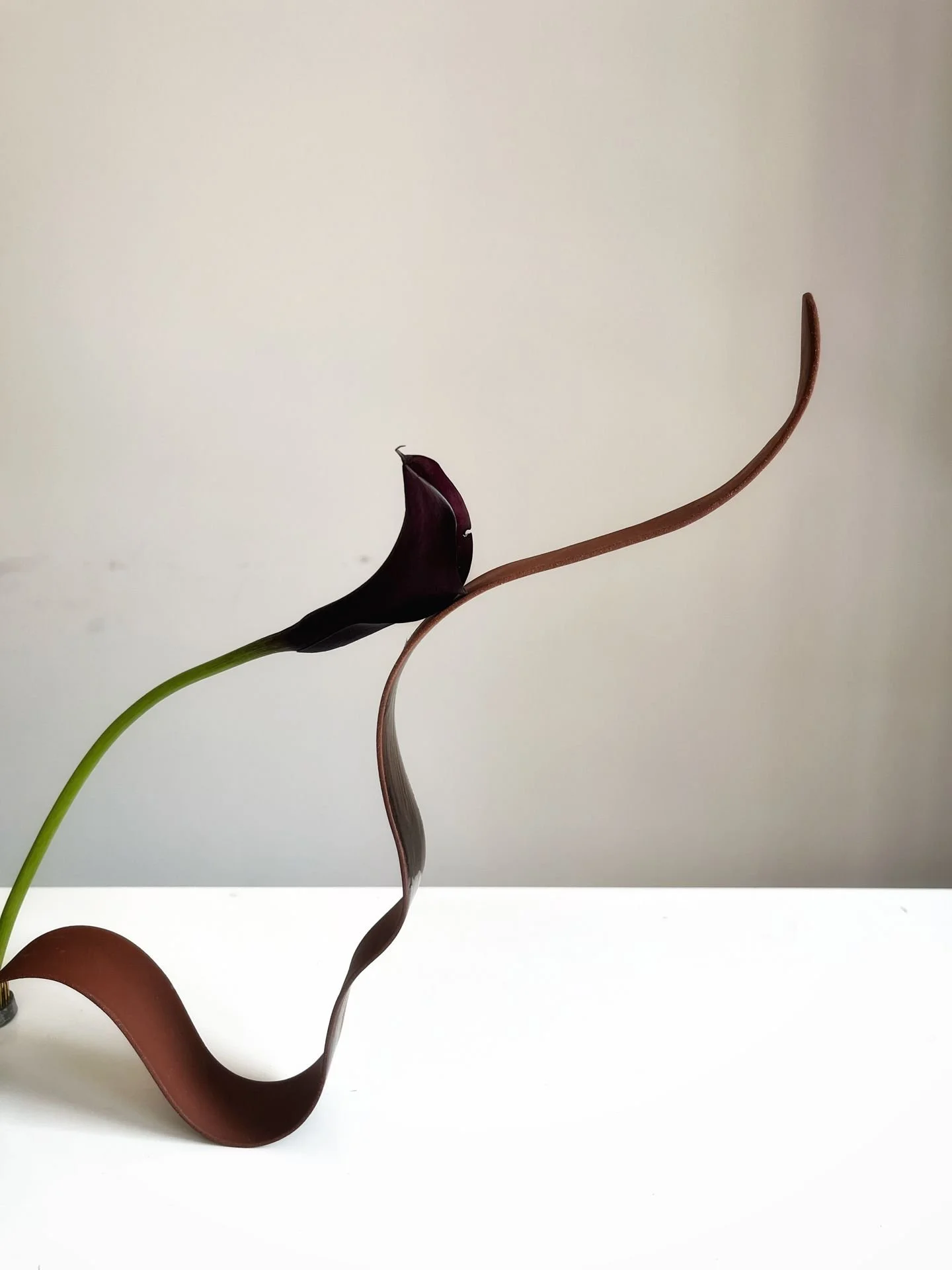 Artistic Collaboration w Feier Wang