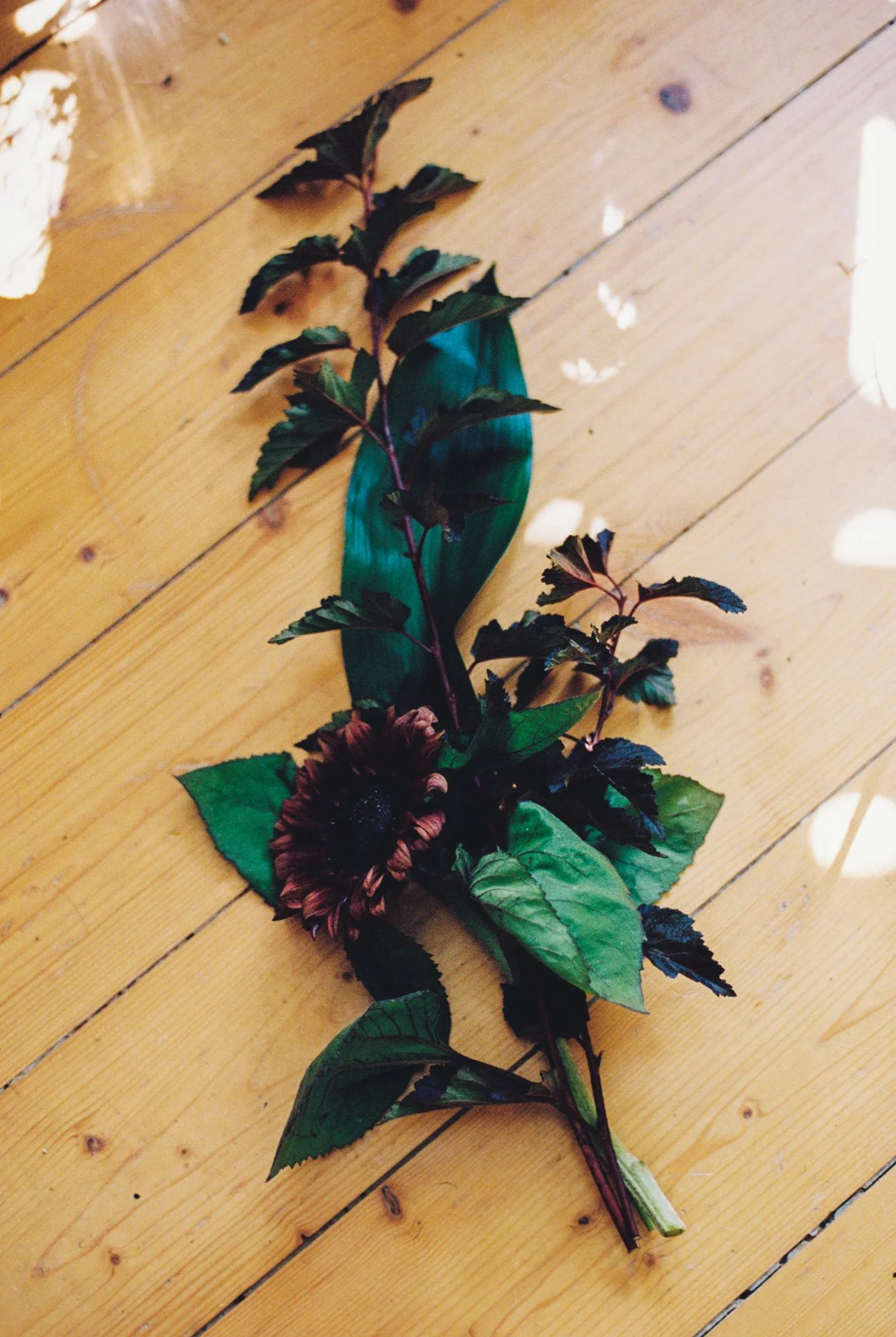 Studio visit w photographer Erica Fustero