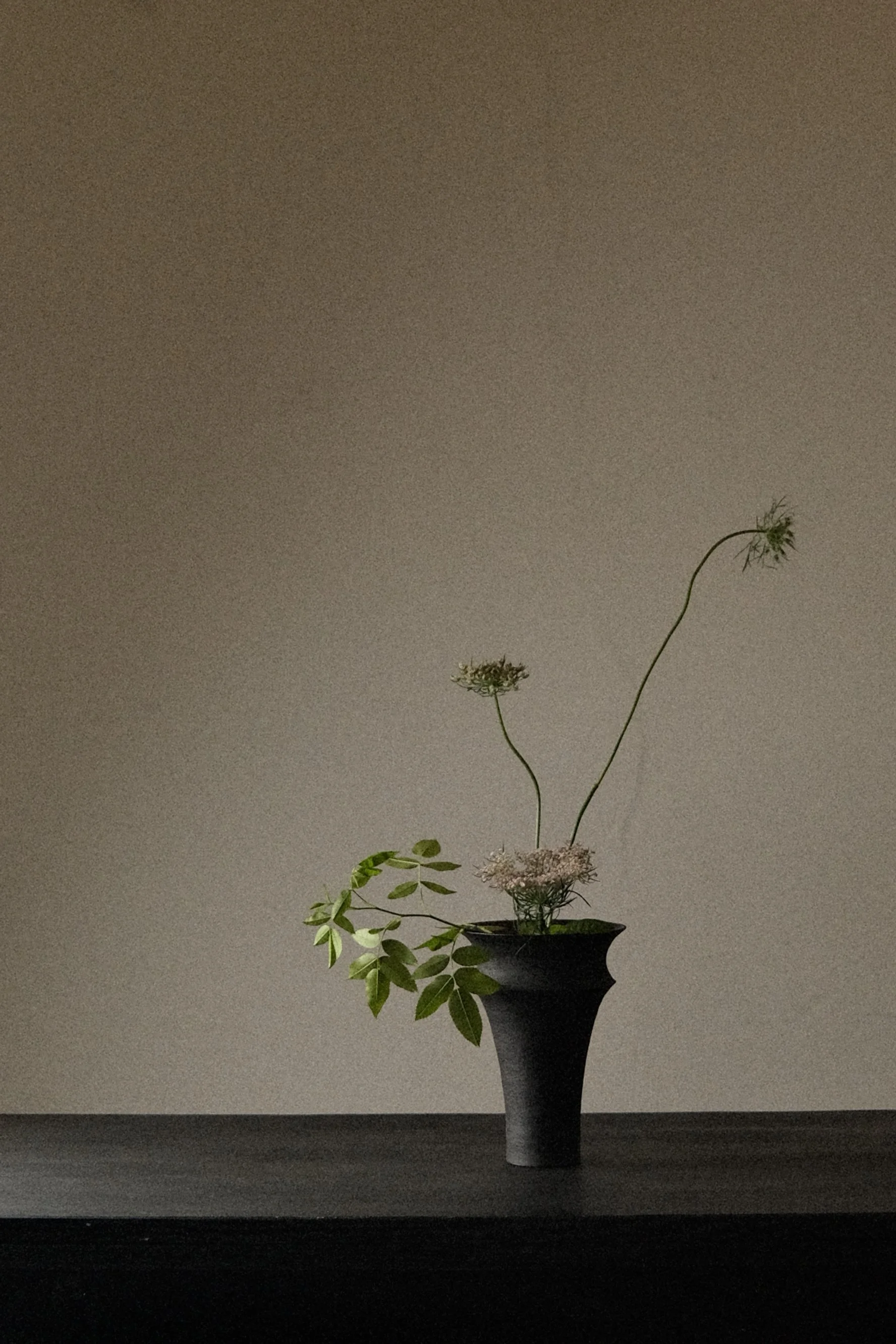 DSCF6329.jpg