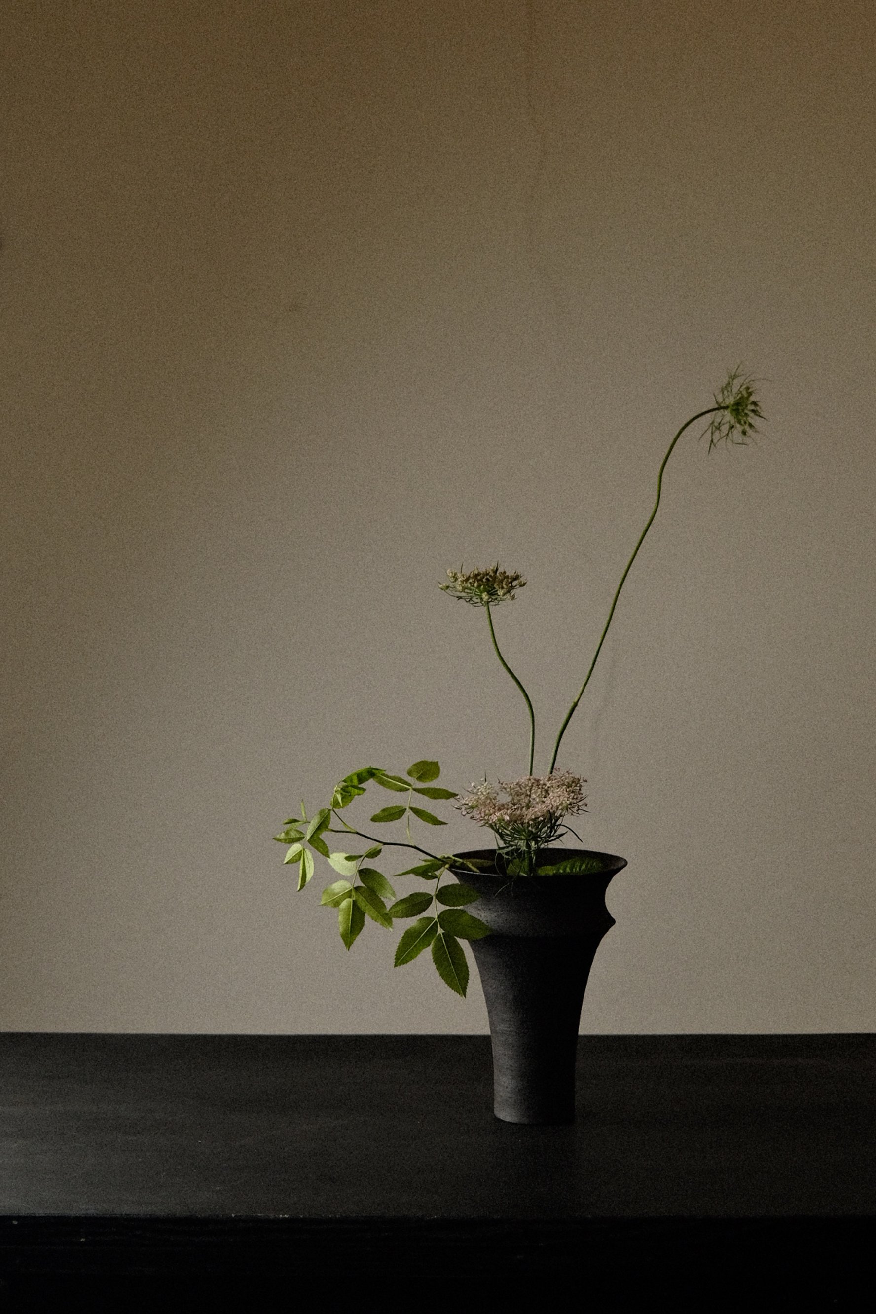 DSCF6325.jpg