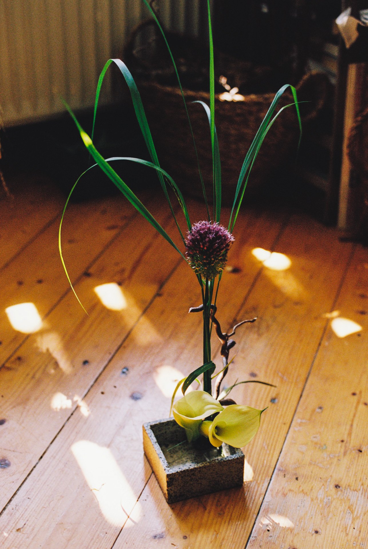 Studio visit w photographer Erica Fustero