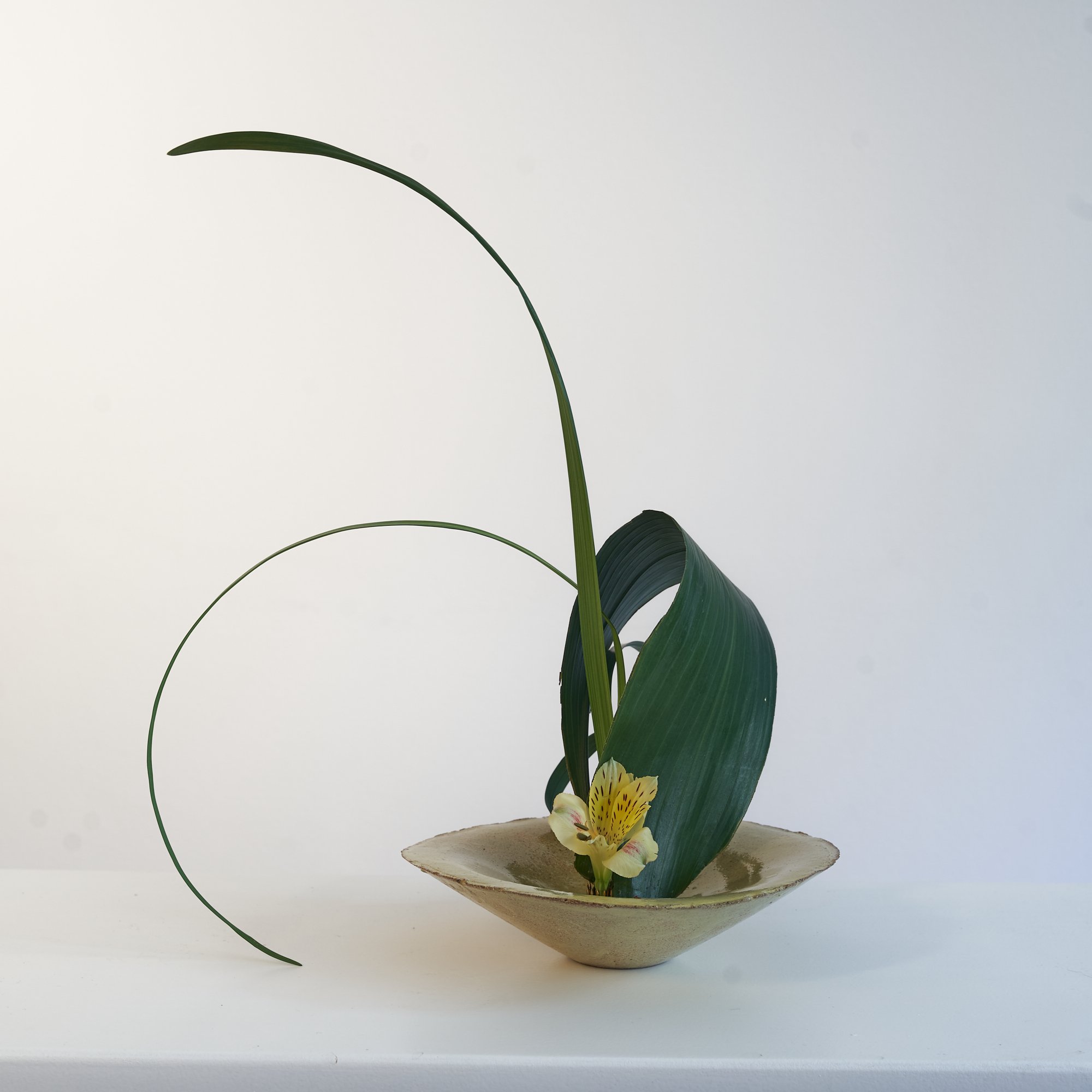 Photo shooting at Aterlier Von Ehrern