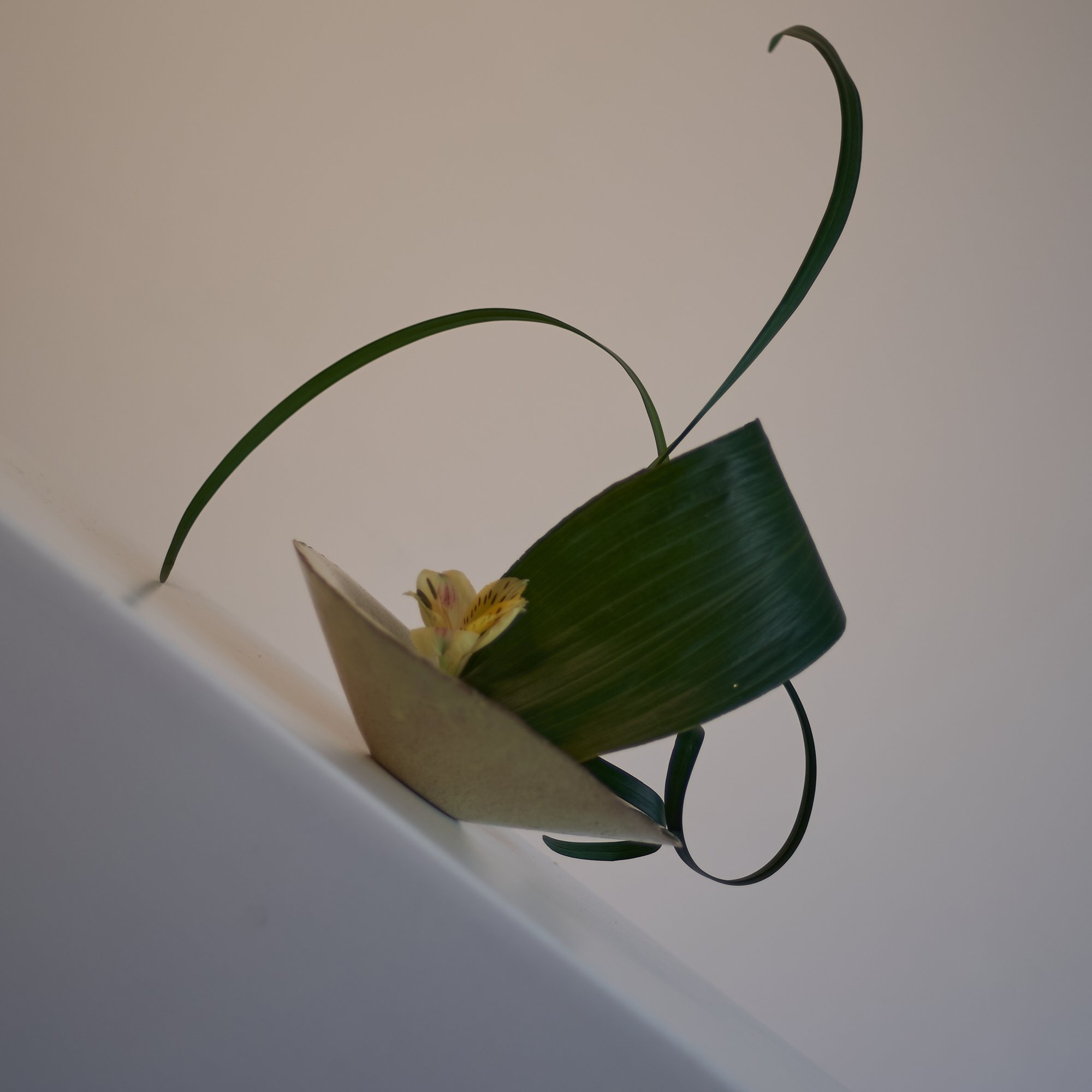 Photo shooting at Aterlier Von Ehrern