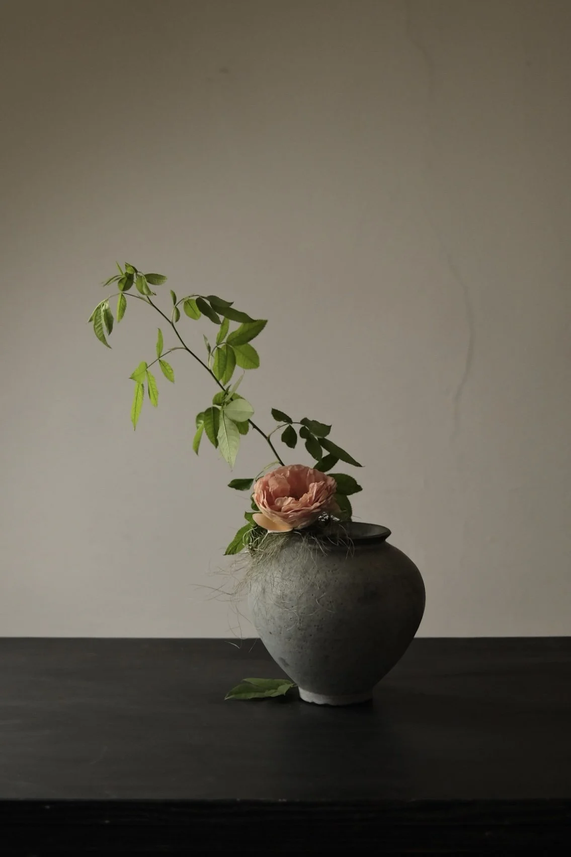 DSCF6205.jpg