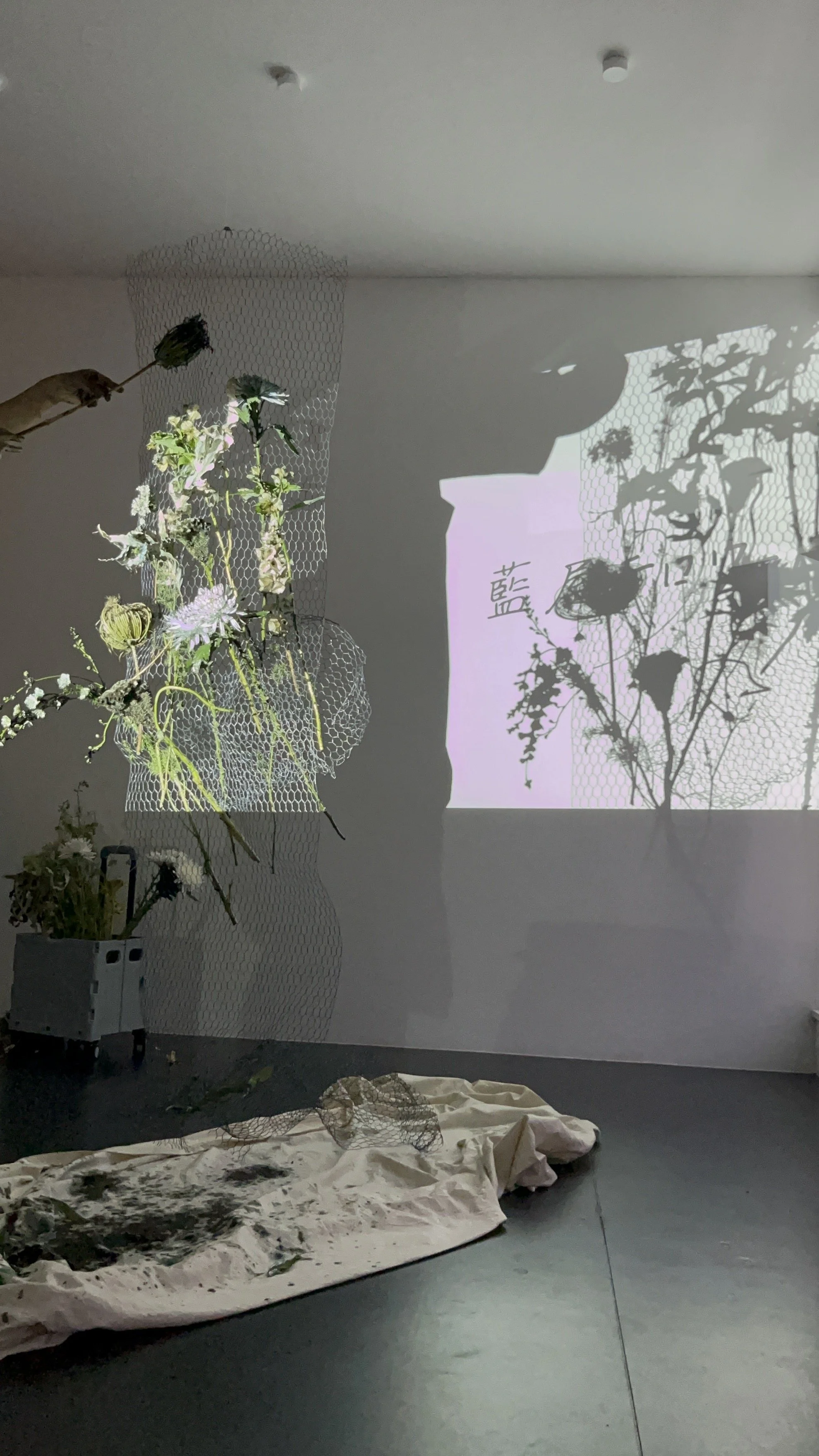 Indigo flowers performance at Nion Playground gallery 