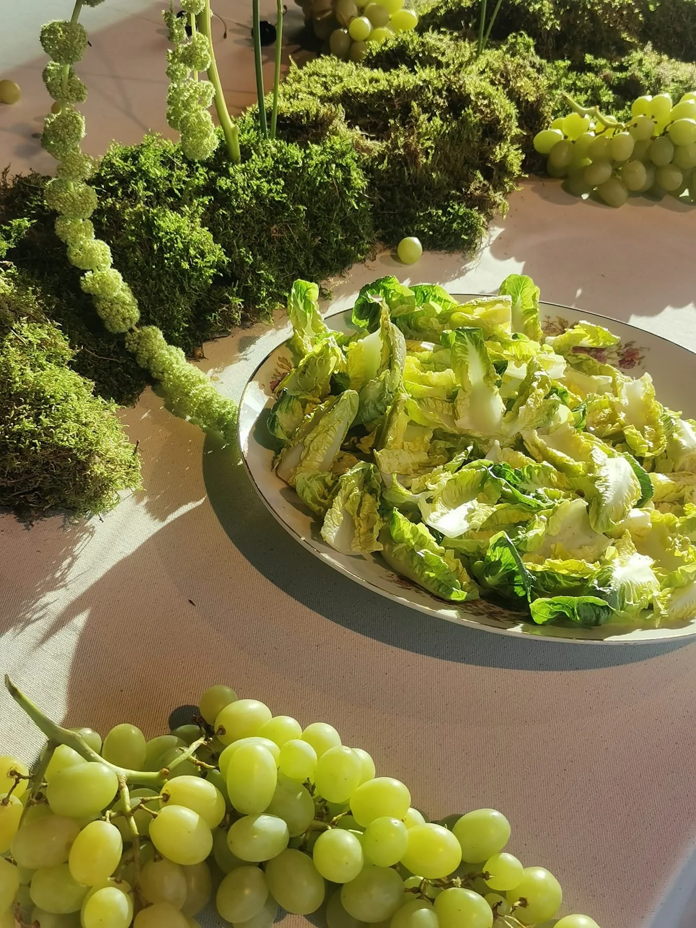 Wedding set up in Leuven,  August  2024