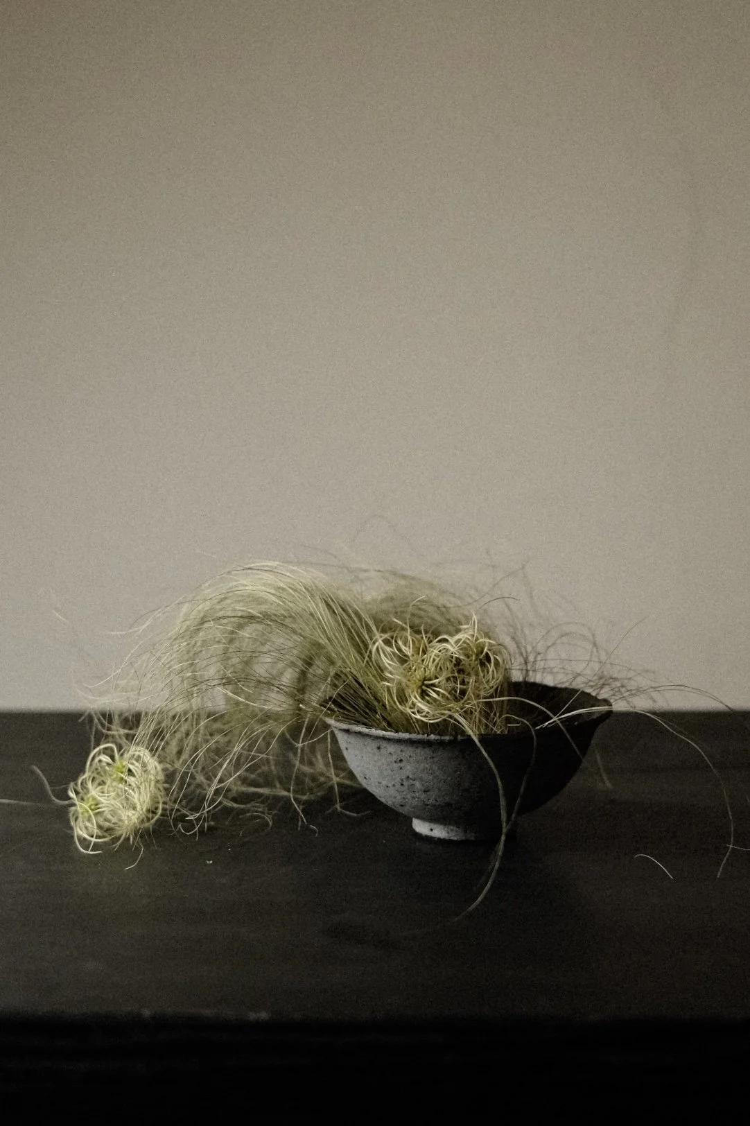 DSCF6267.jpg