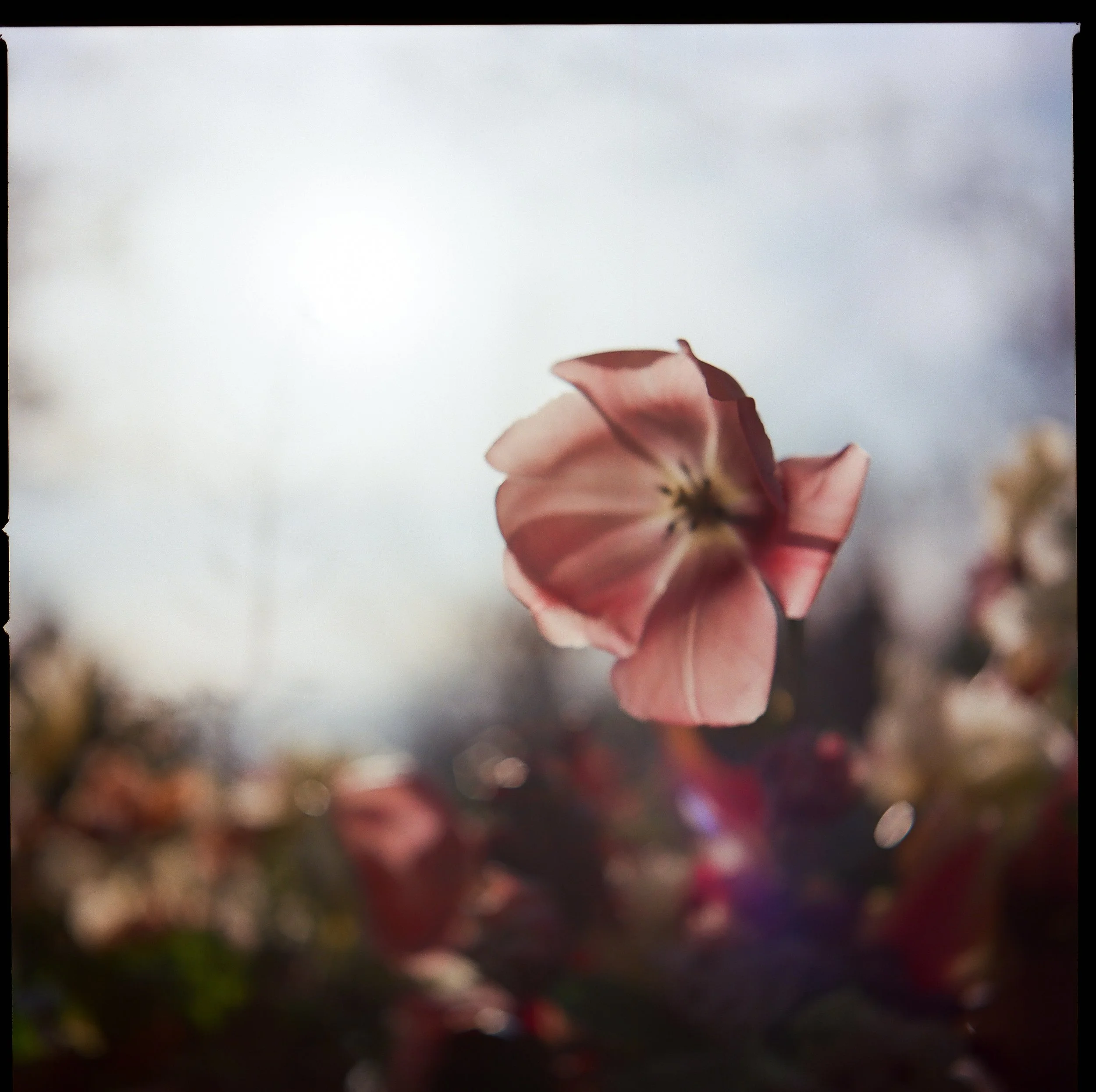 Wedding set up in Italy,  march 2024