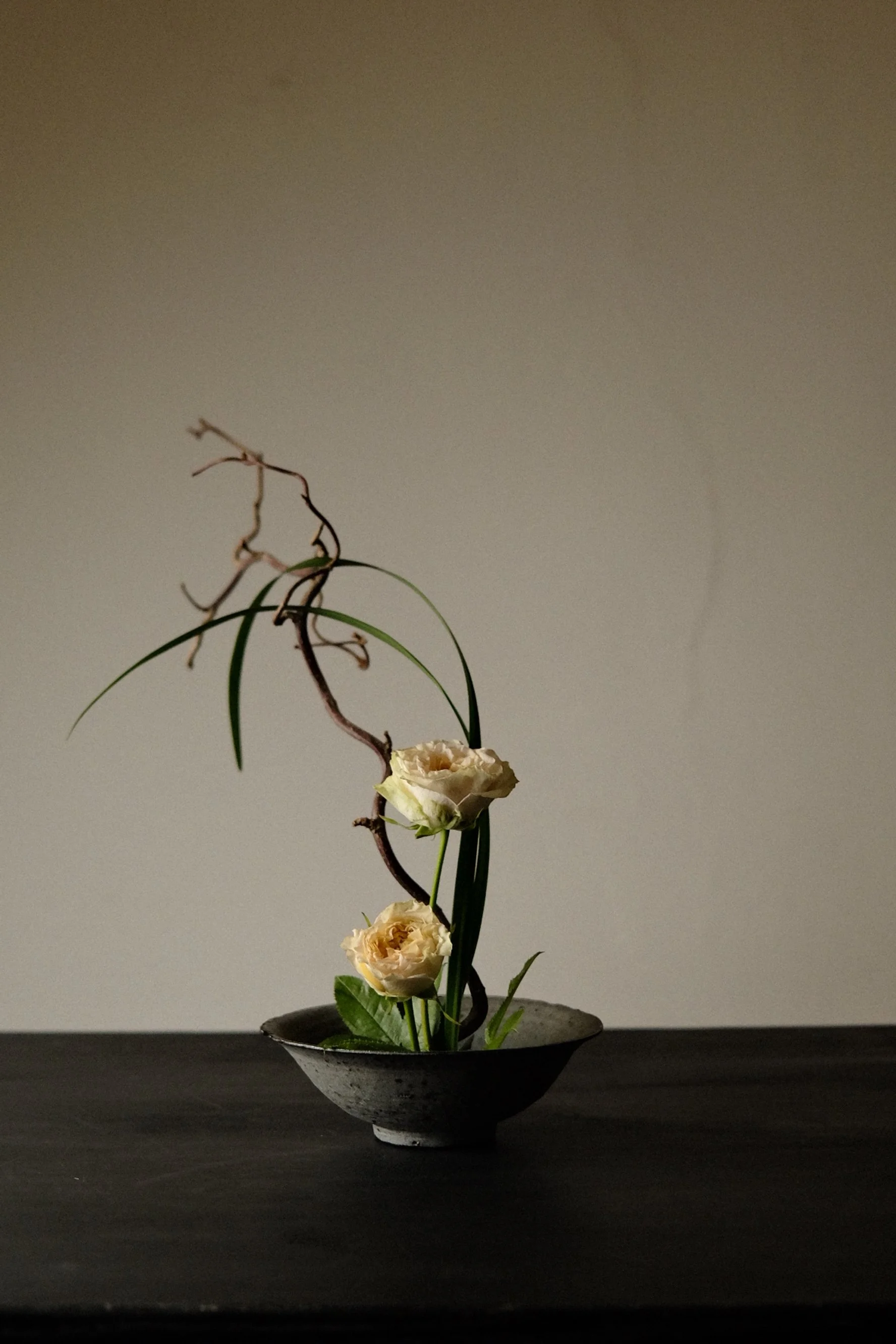 DSCF6284.jpg