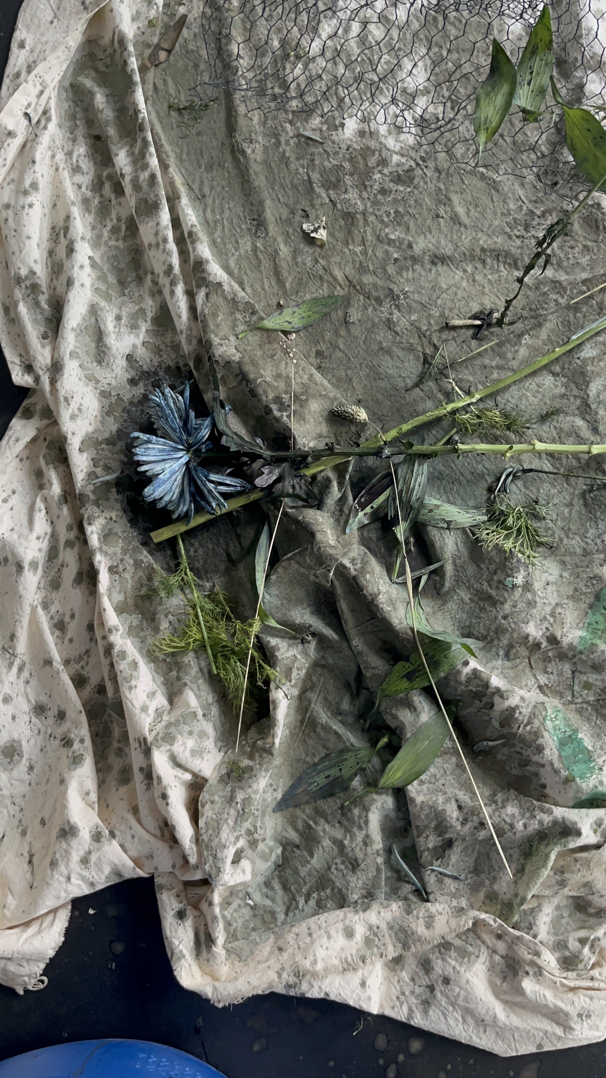 Indigo flowers performance at Nion Playground gallery 