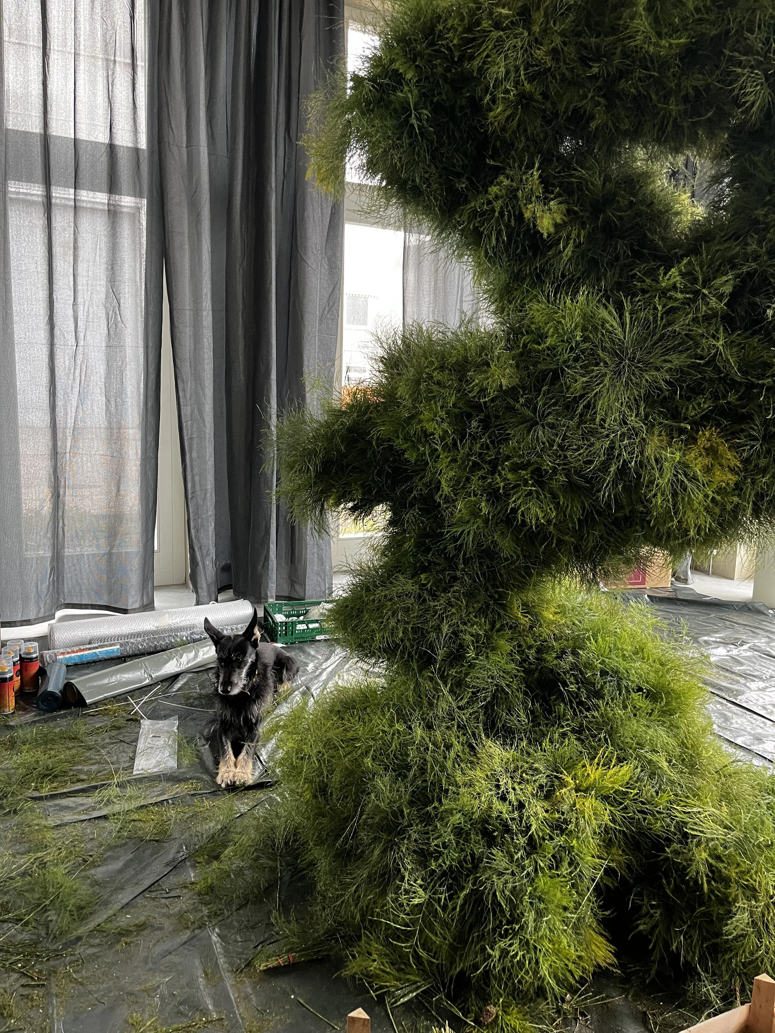 Assisting Studio Lilo - Berlin 2024